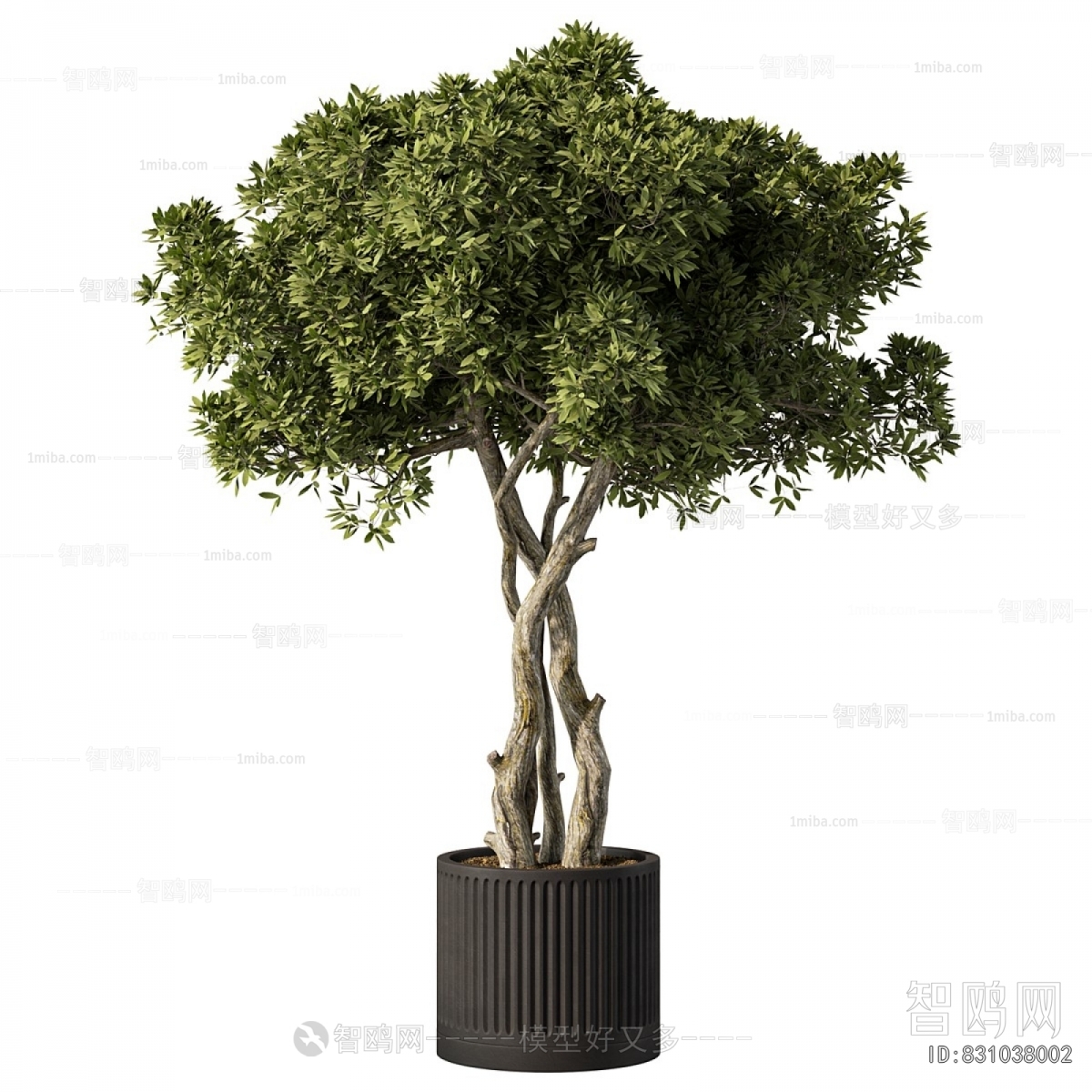Modern Ground Green Plant Potted Plants