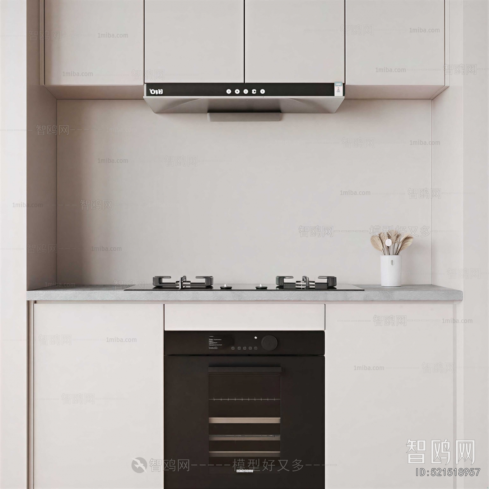 Modern Kitchen Electric Gas Range