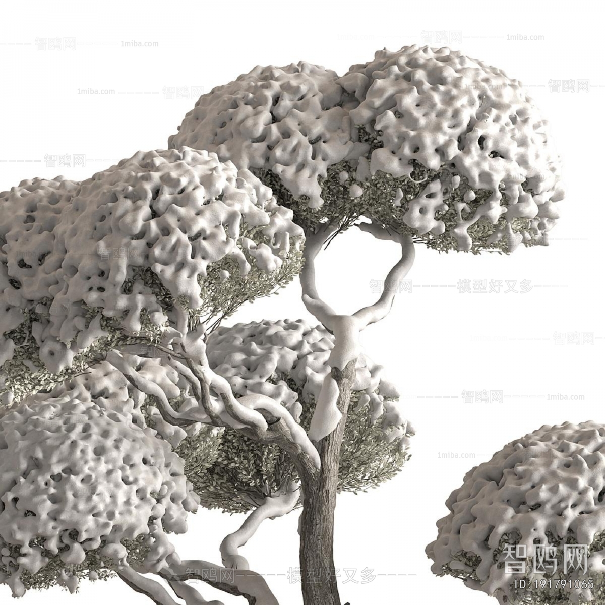 Modern Ground Green Plant Potted Plants