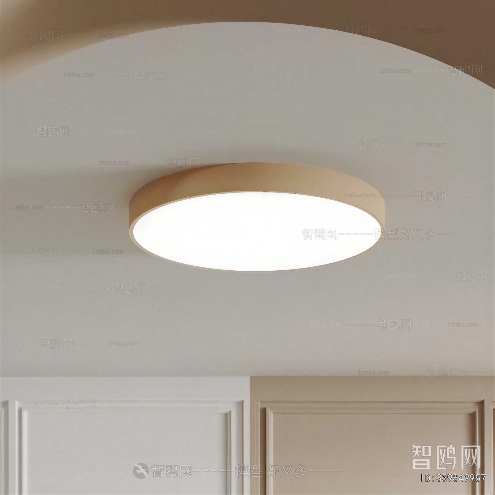 Modern Ceiling Ceiling Lamp