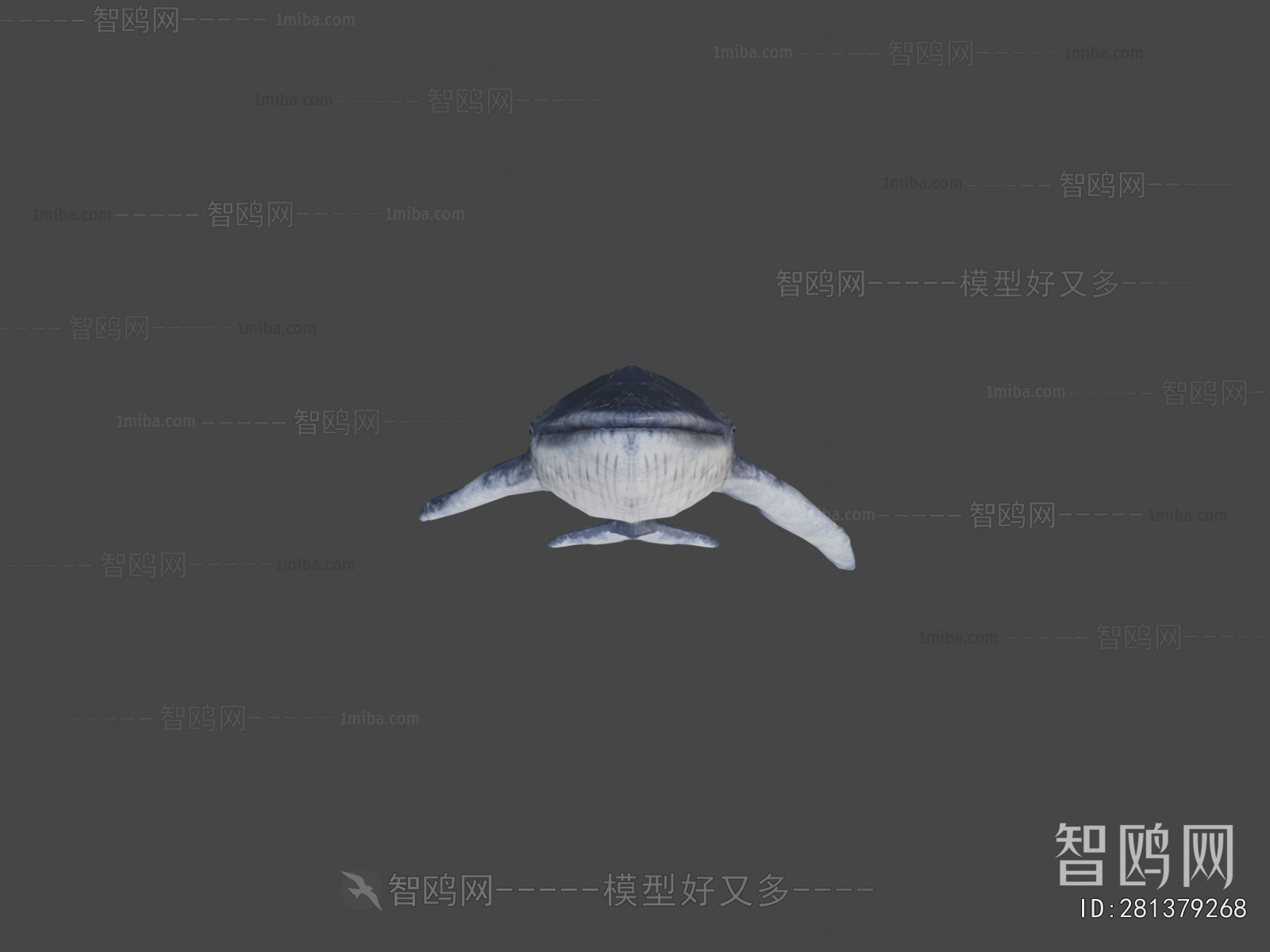 Modern Aquatic Animals