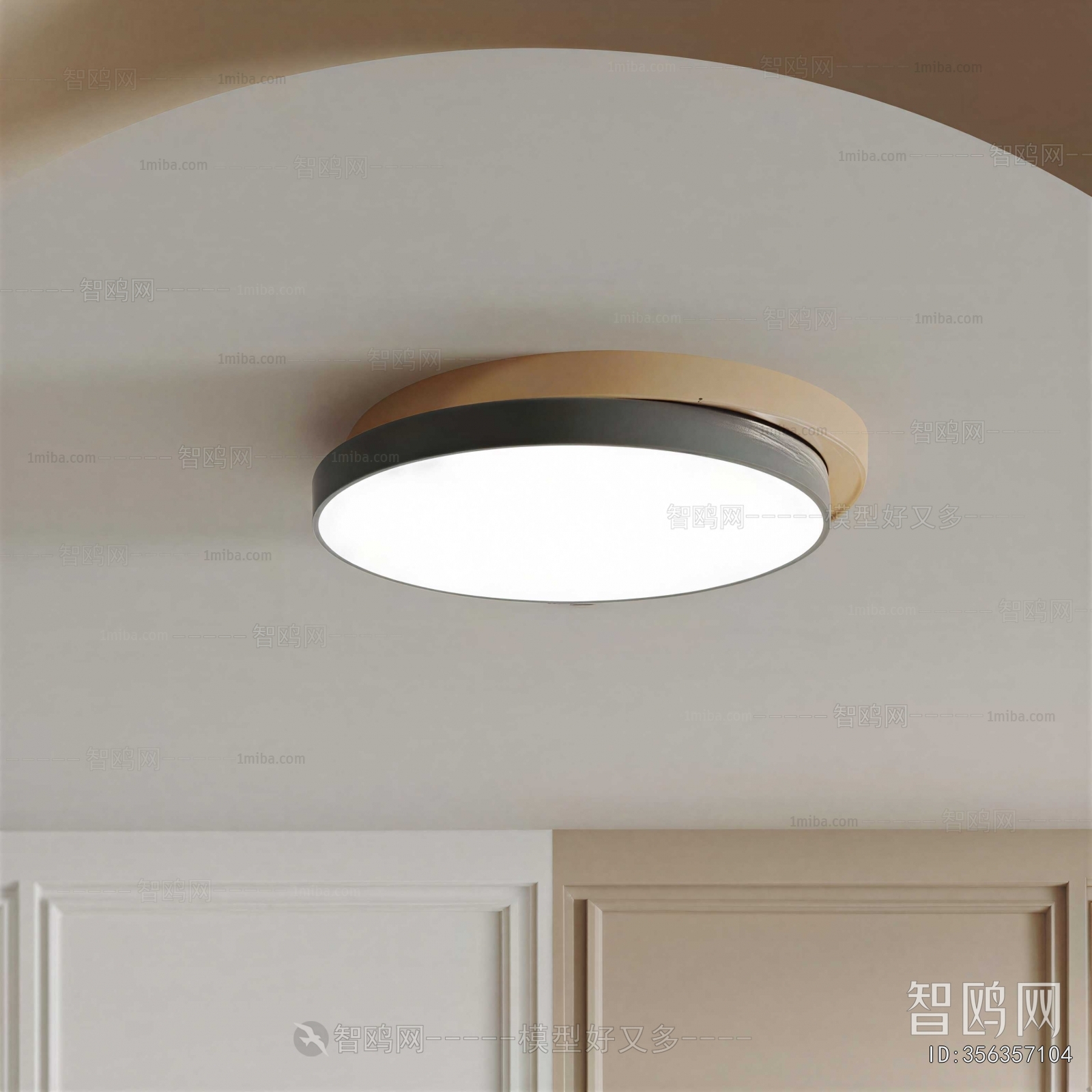 Modern Ceiling Ceiling Lamp