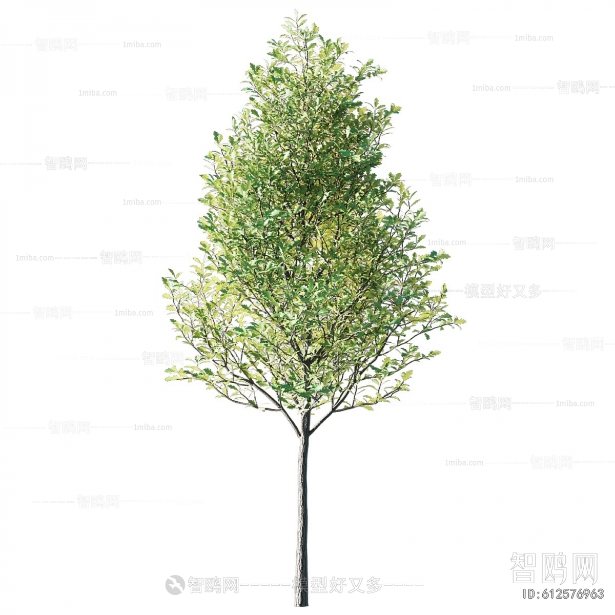 Modern Tree