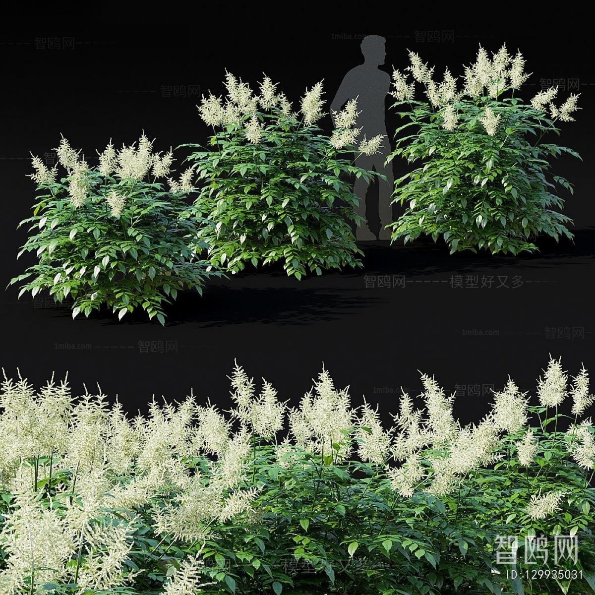 Modern Flowers And Grass