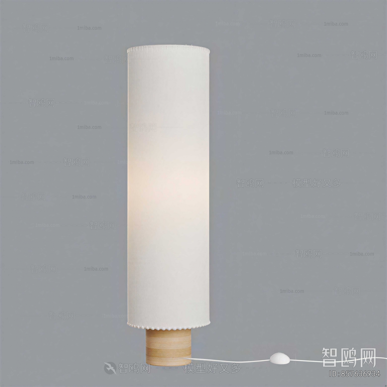Modern Floor Lamp