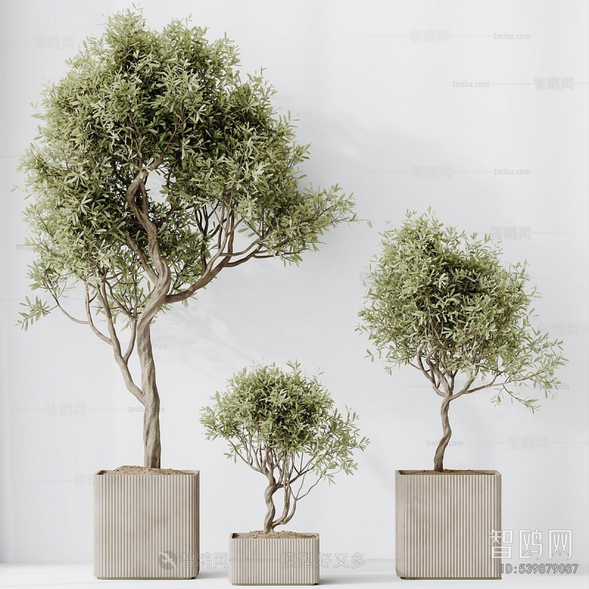 Modern Ground Green Plant Potted Plants