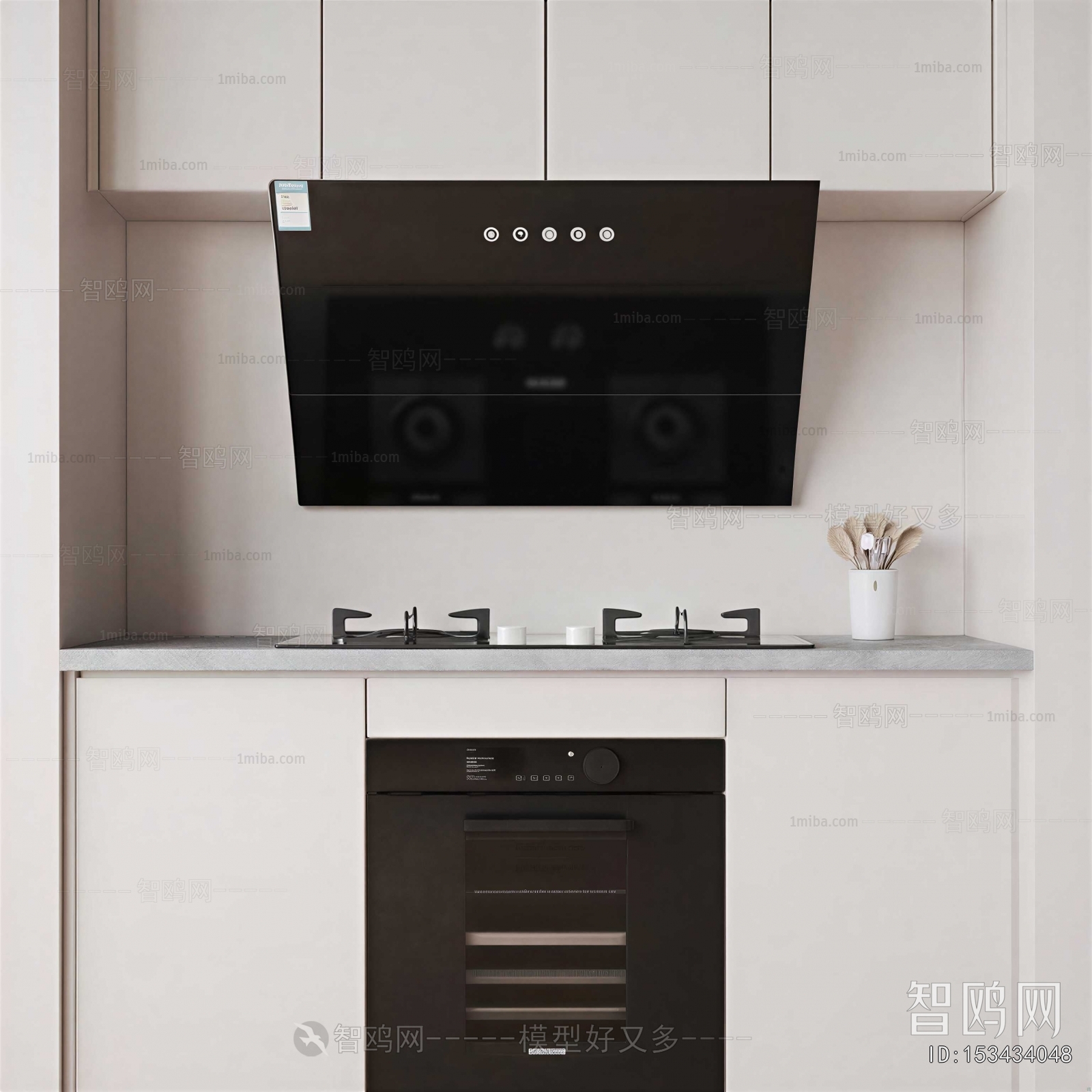 Modern Kitchen Electric Gas Range