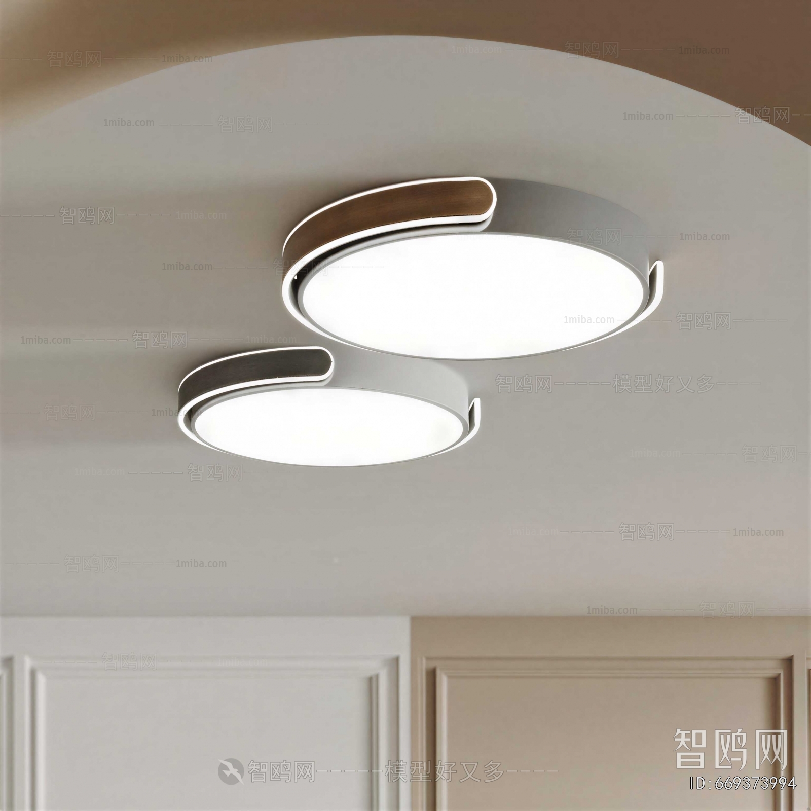 Modern Ceiling Ceiling Lamp