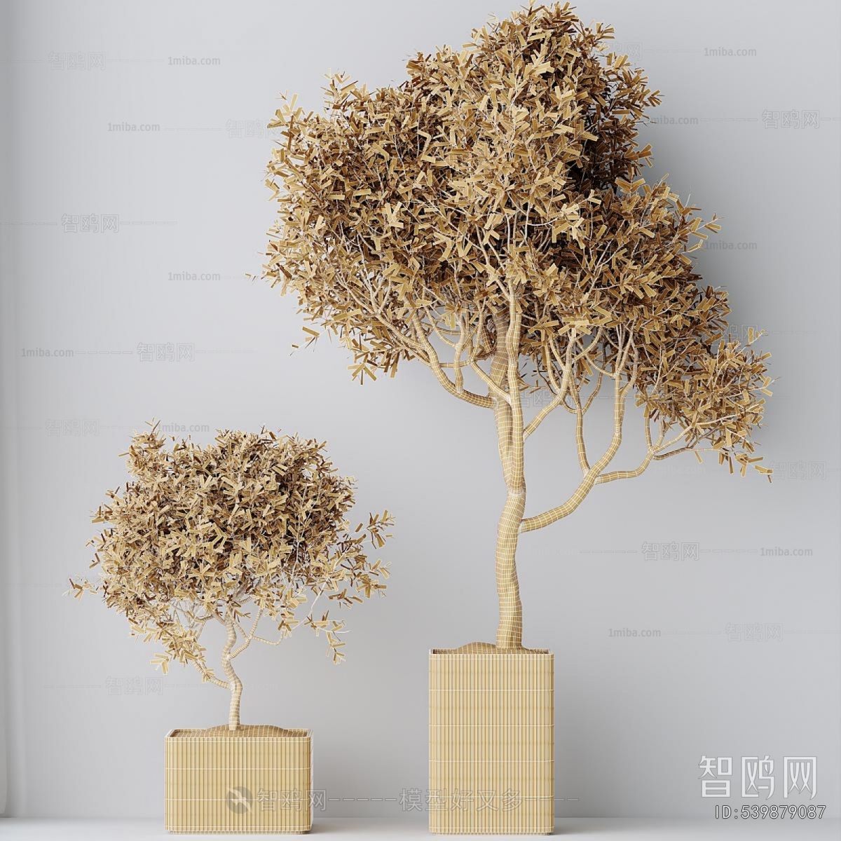 Modern Ground Green Plant Potted Plants