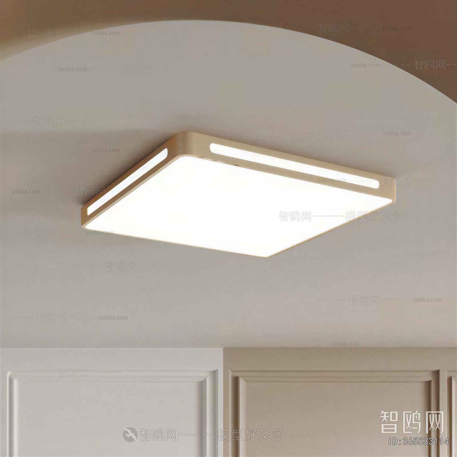 Modern Ceiling Ceiling Lamp