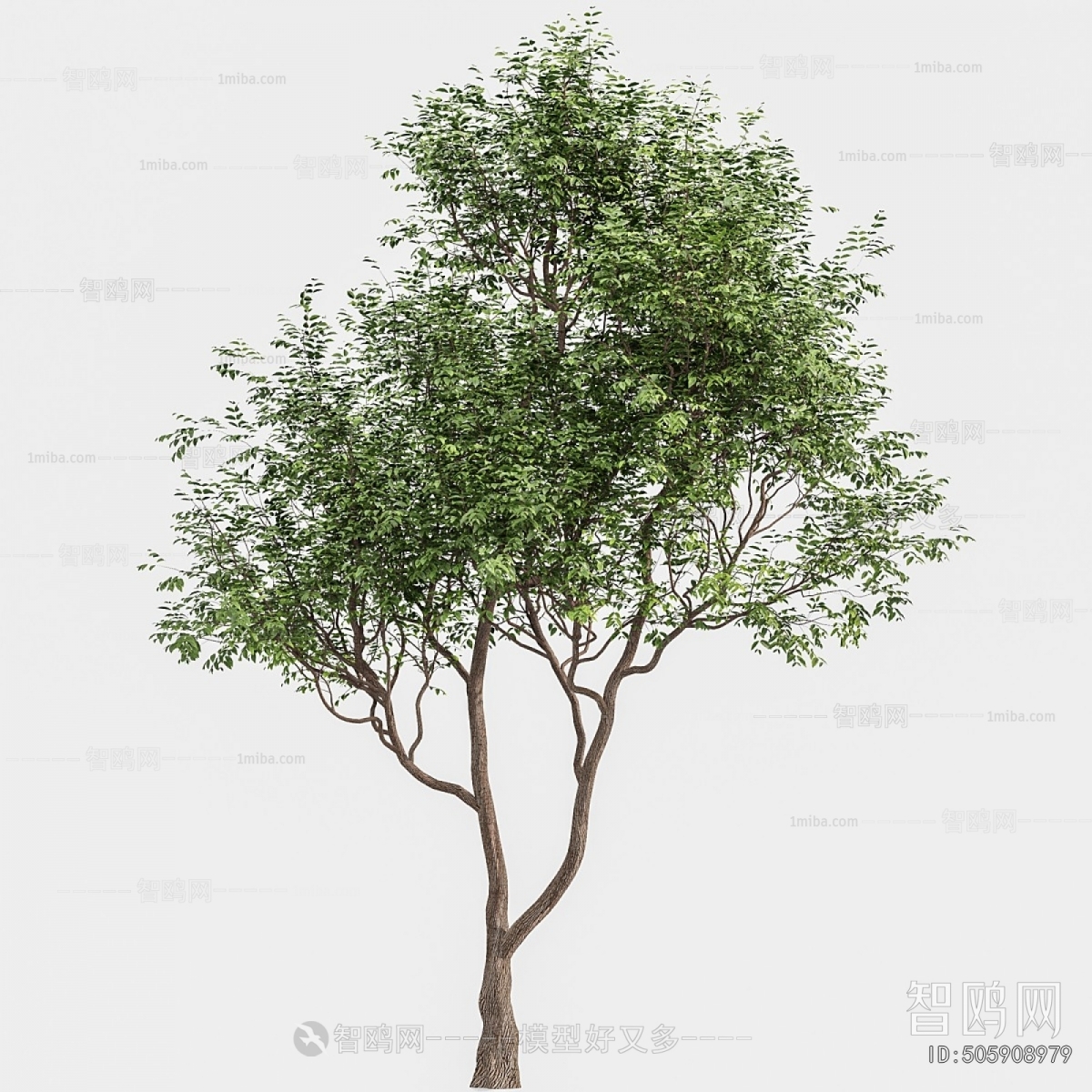Modern Tree