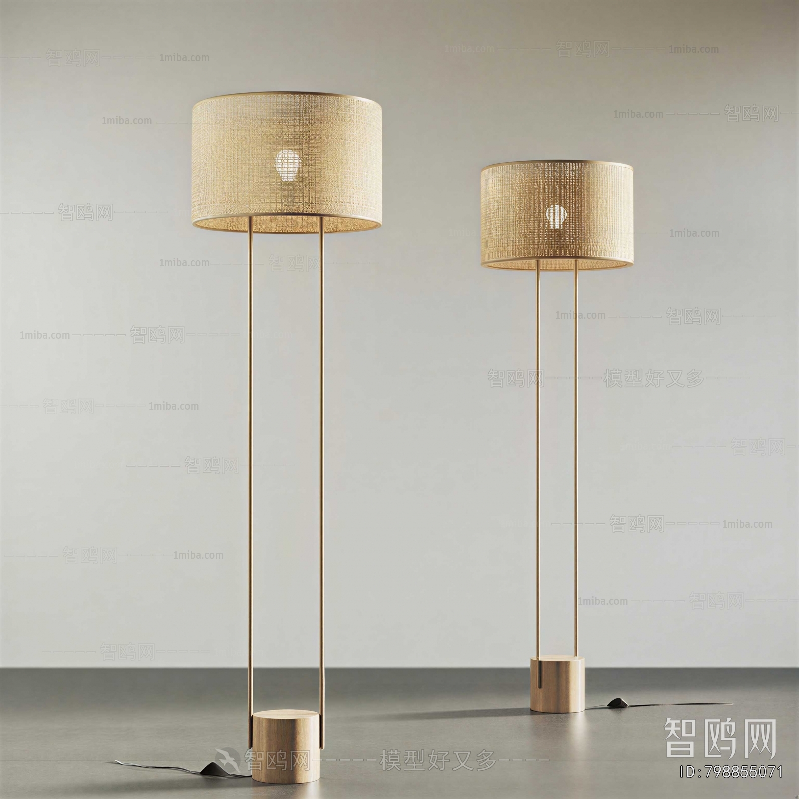 Modern Floor Lamp