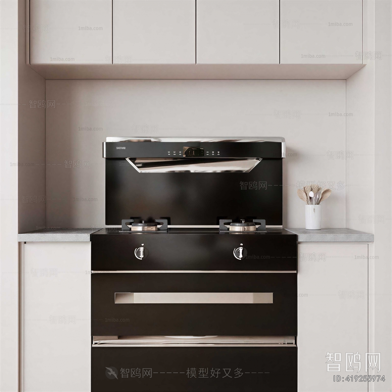 Modern Kitchen Electric Gas Range