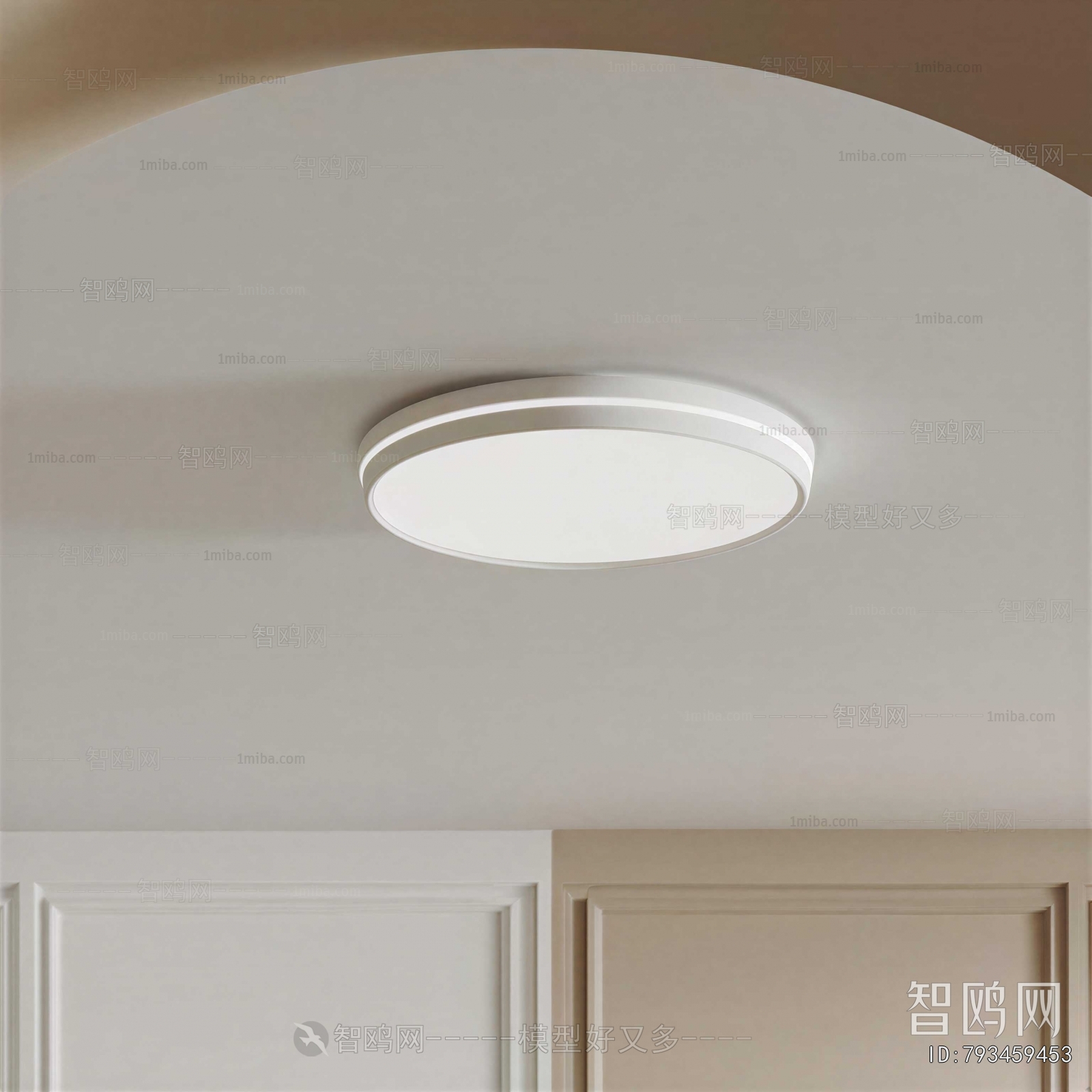 Modern Ceiling Ceiling Lamp