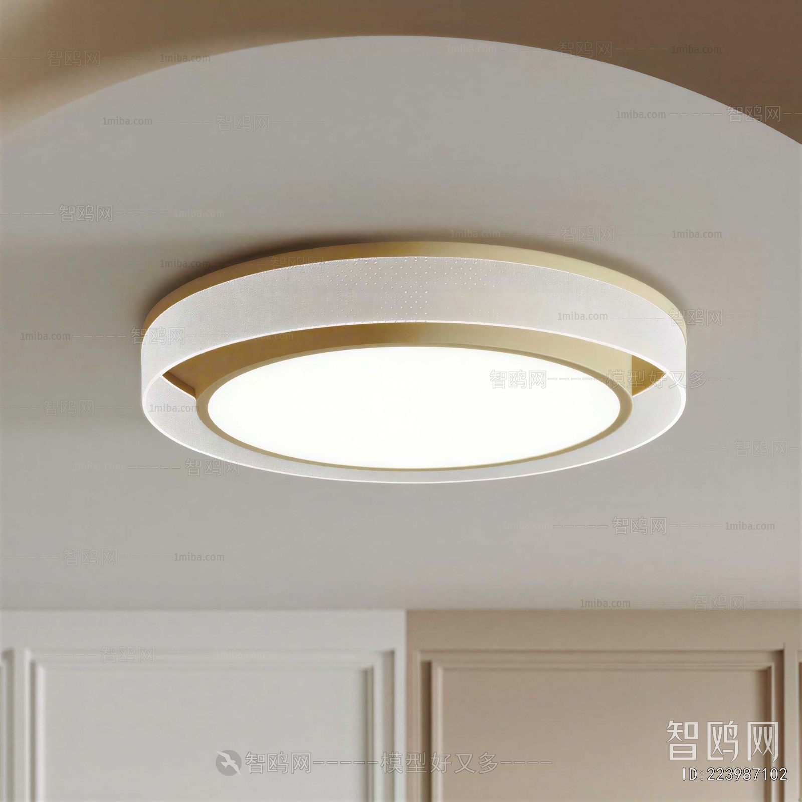 Modern Ceiling Ceiling Lamp