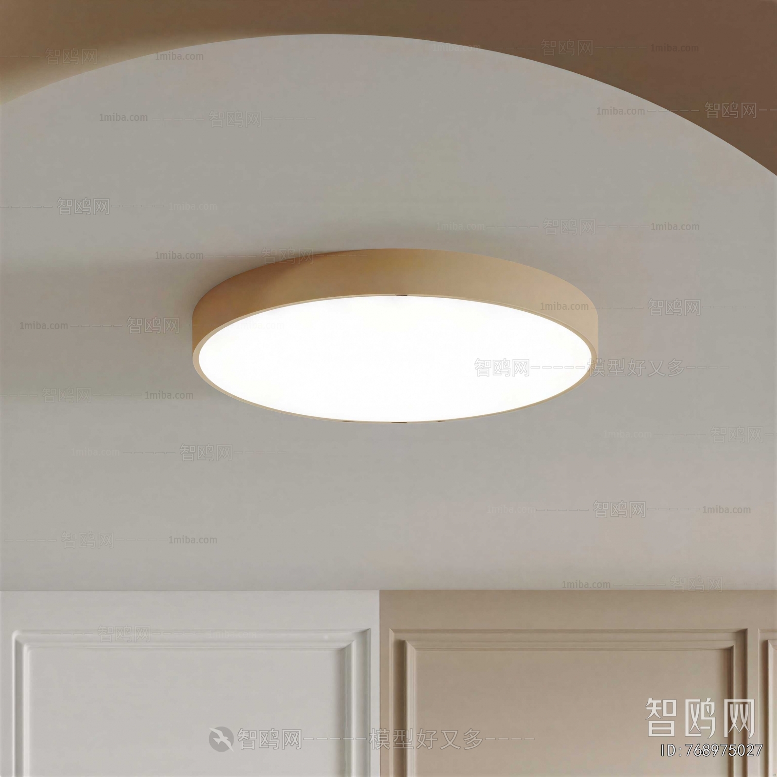 Modern Ceiling Ceiling Lamp