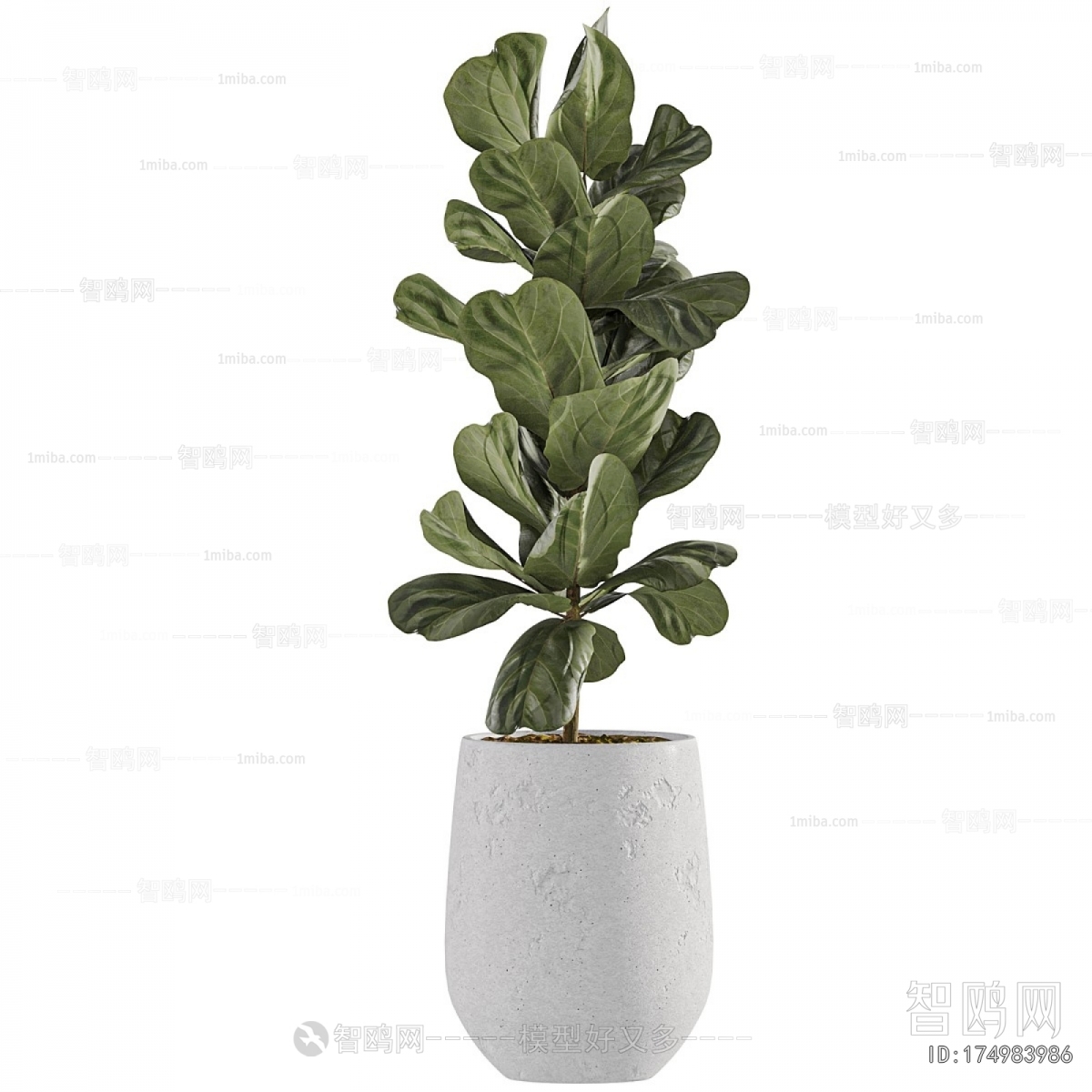 Modern Ground Green Plant Potted Plants