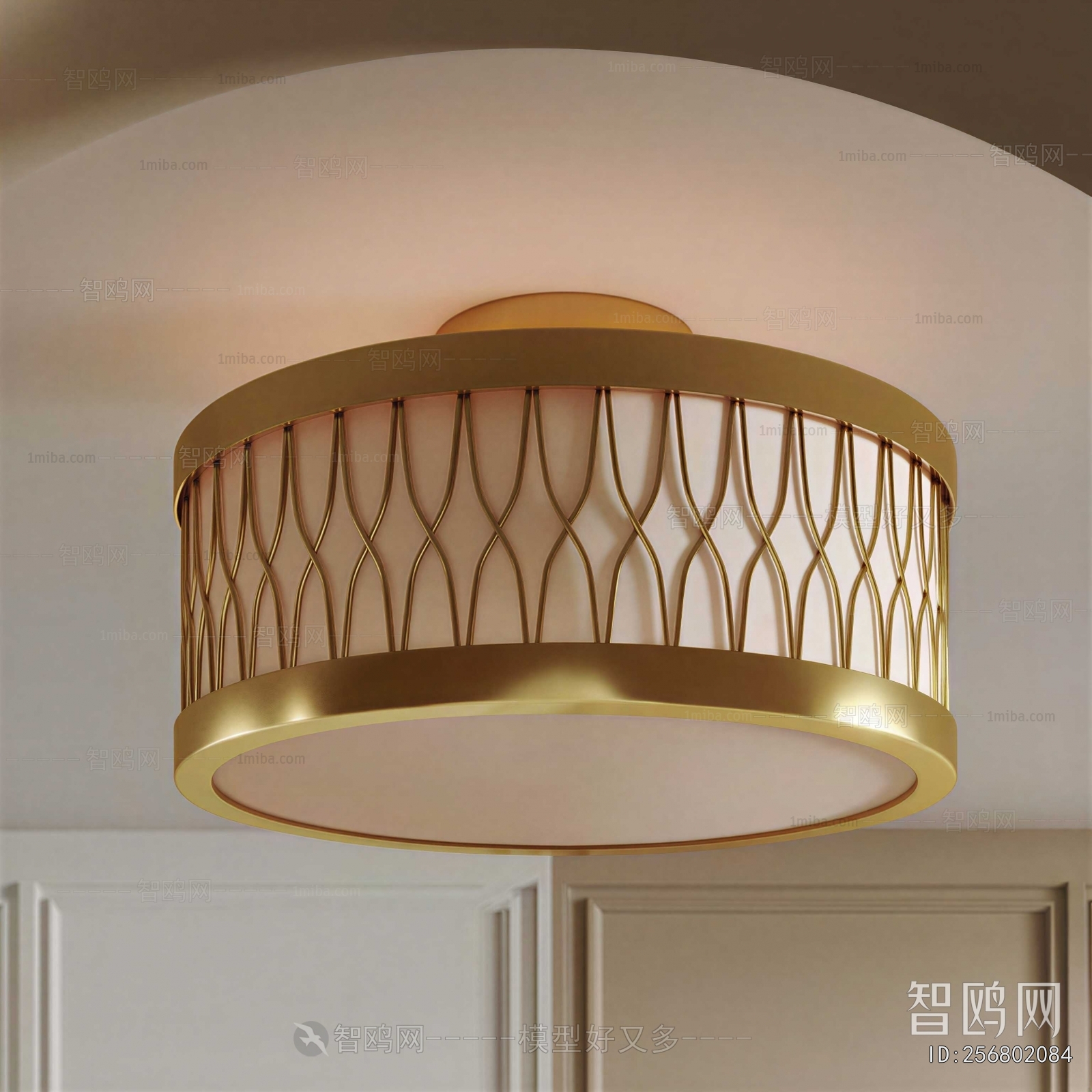 Modern Ceiling Ceiling Lamp