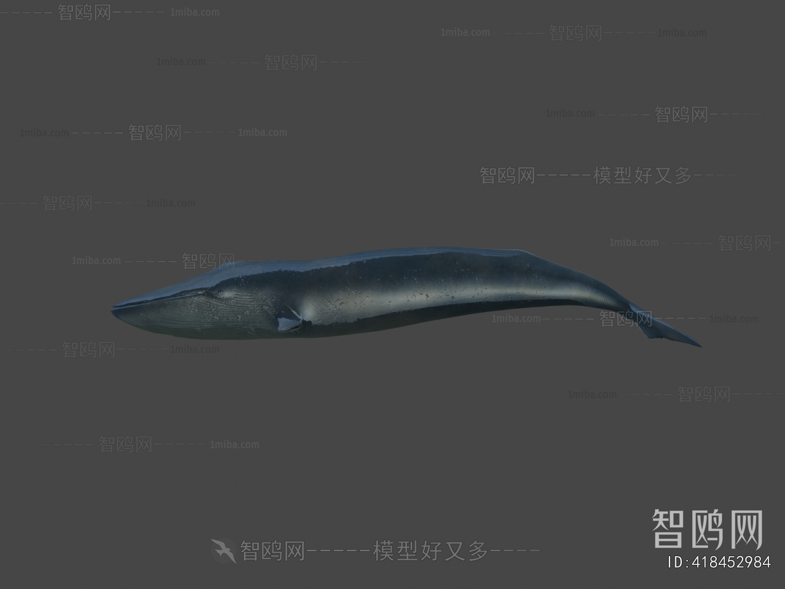 Modern Aquatic Animals