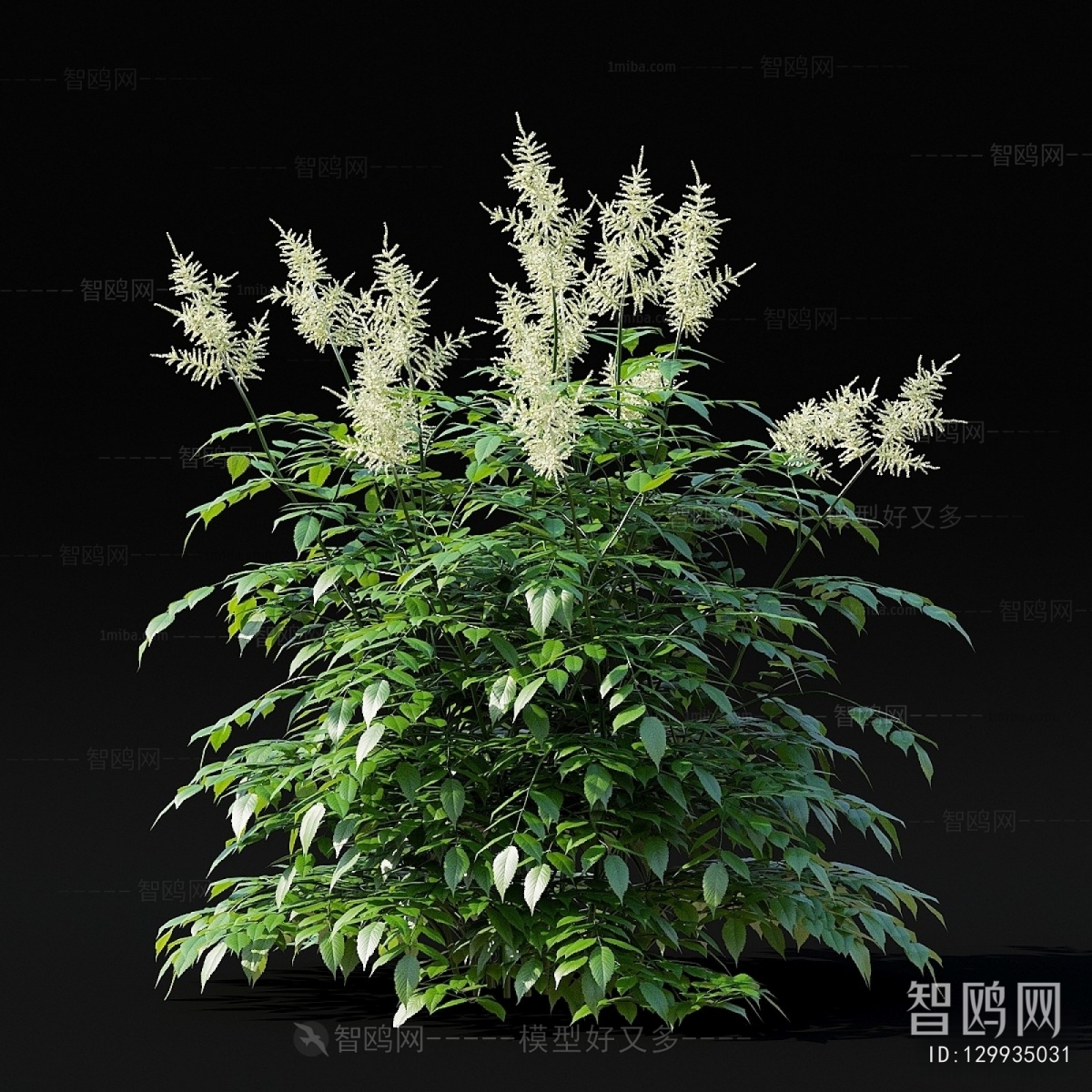 Modern Flowers And Grass