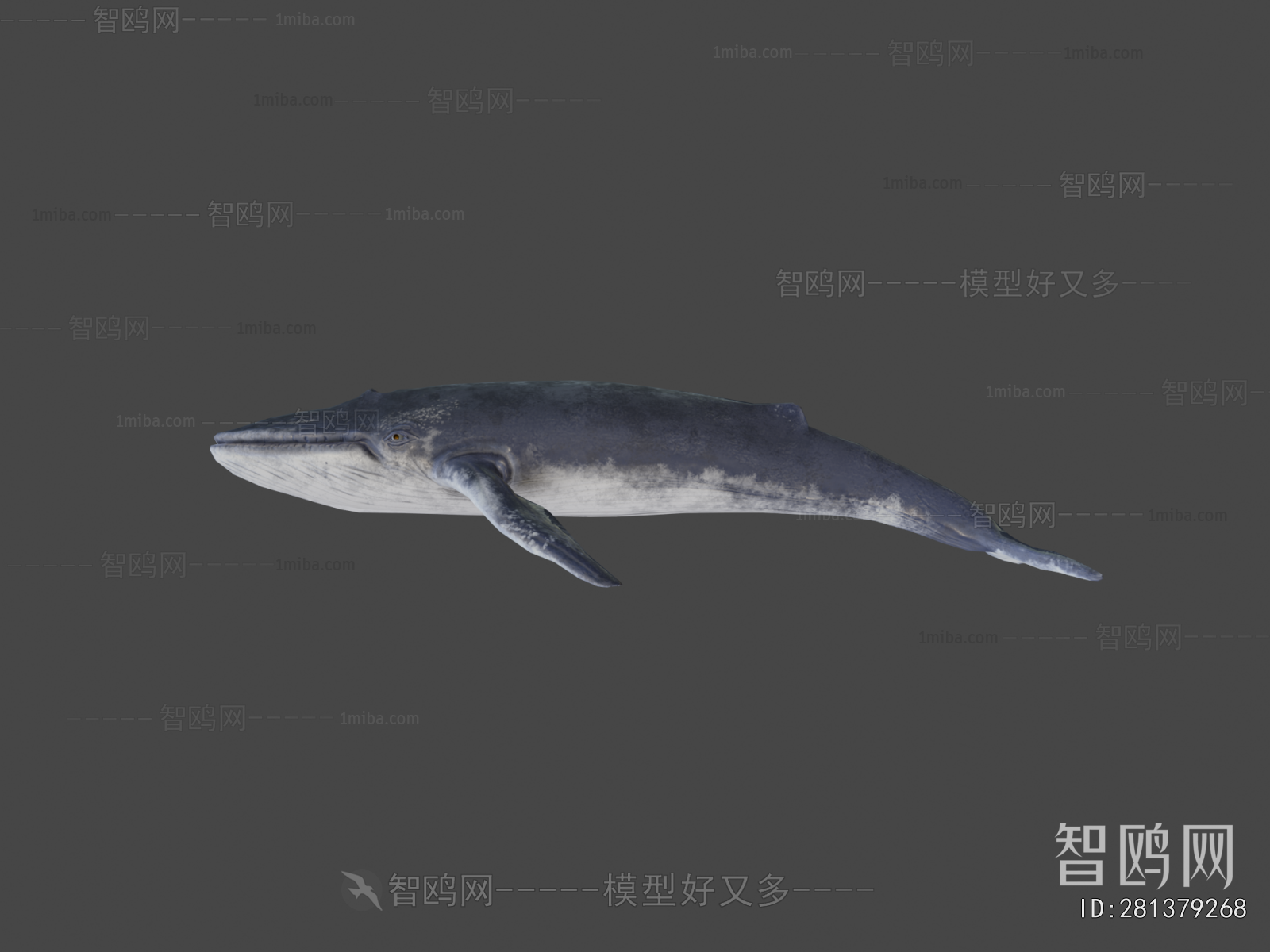 Modern Aquatic Animals