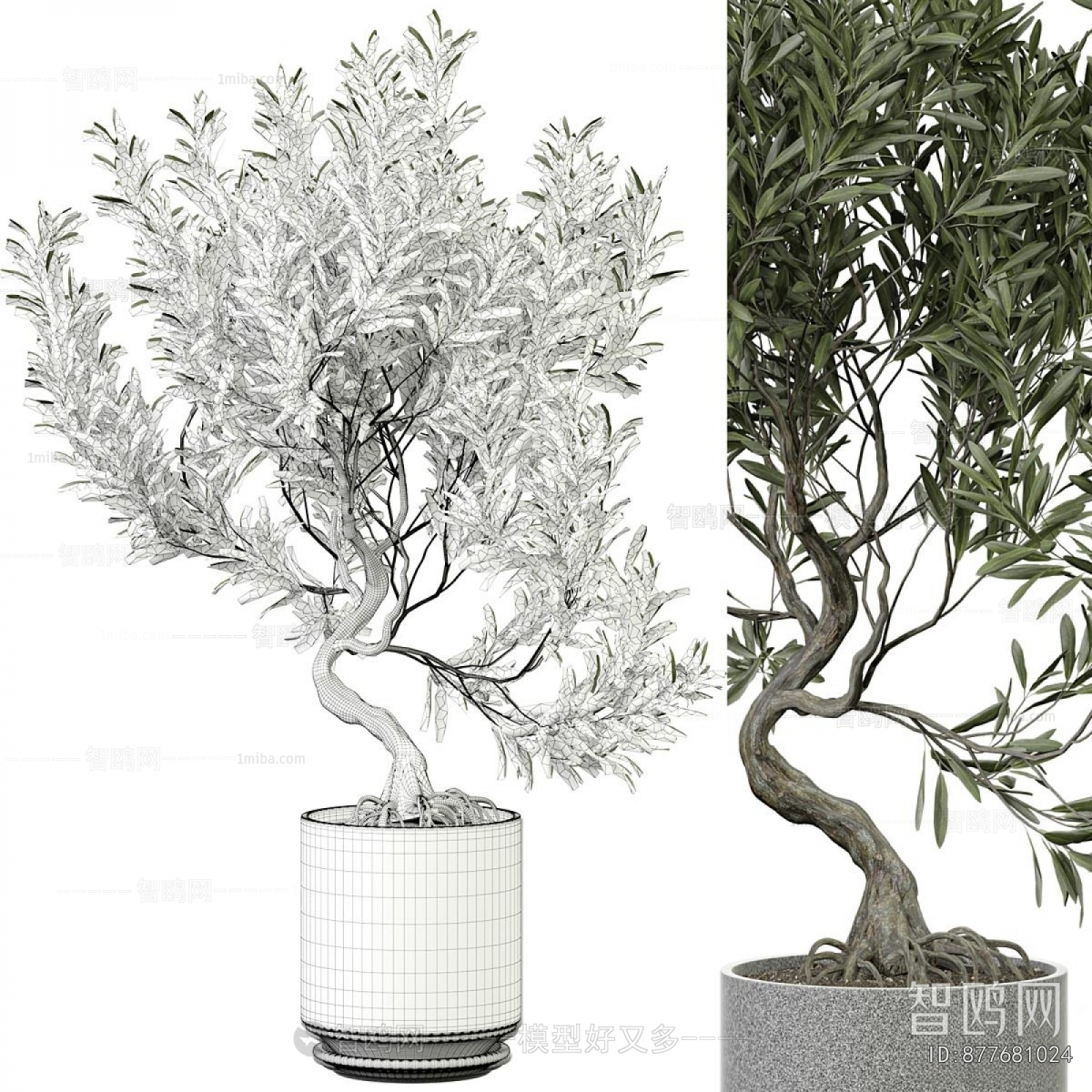 Modern Ground Green Plant Potted Plants