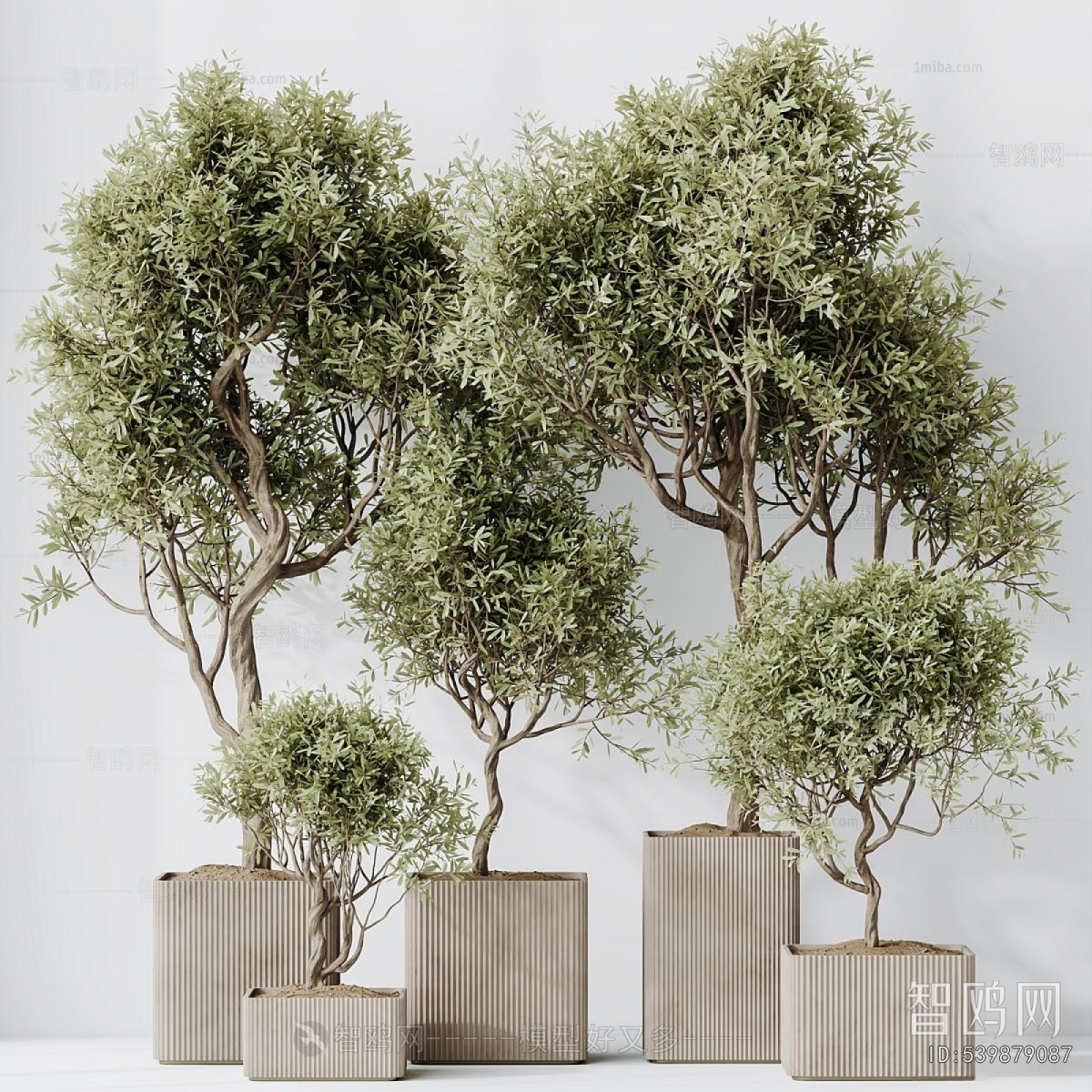 Modern Ground Green Plant Potted Plants