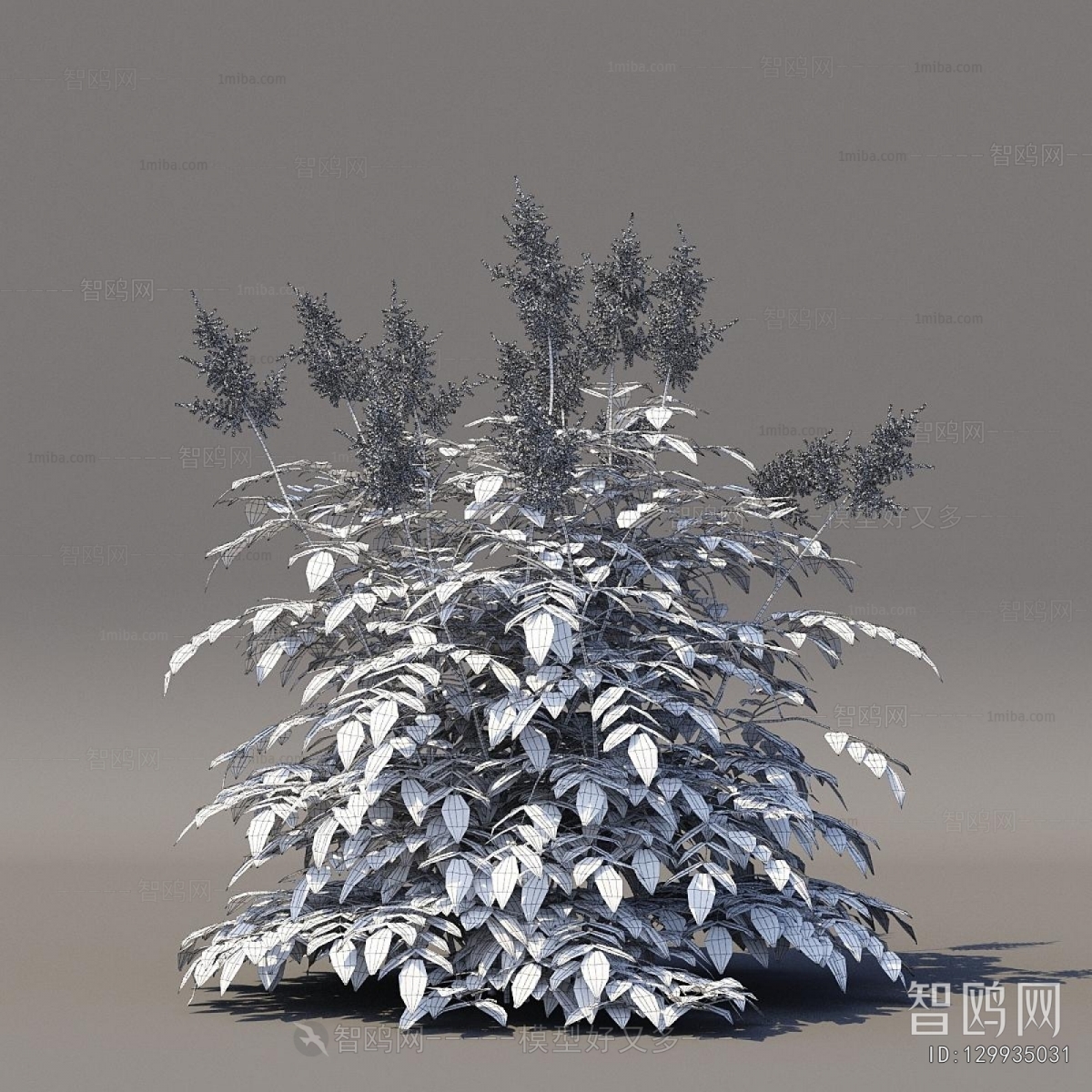 Modern Flowers And Grass