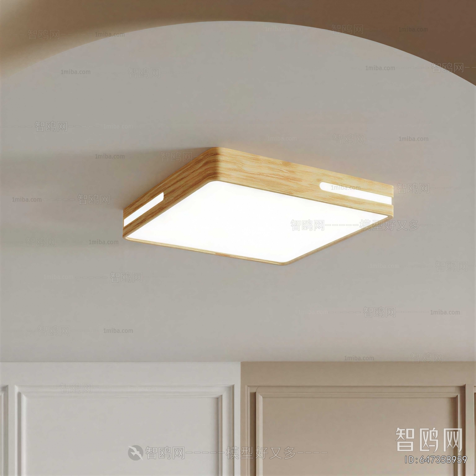Modern Ceiling Ceiling Lamp