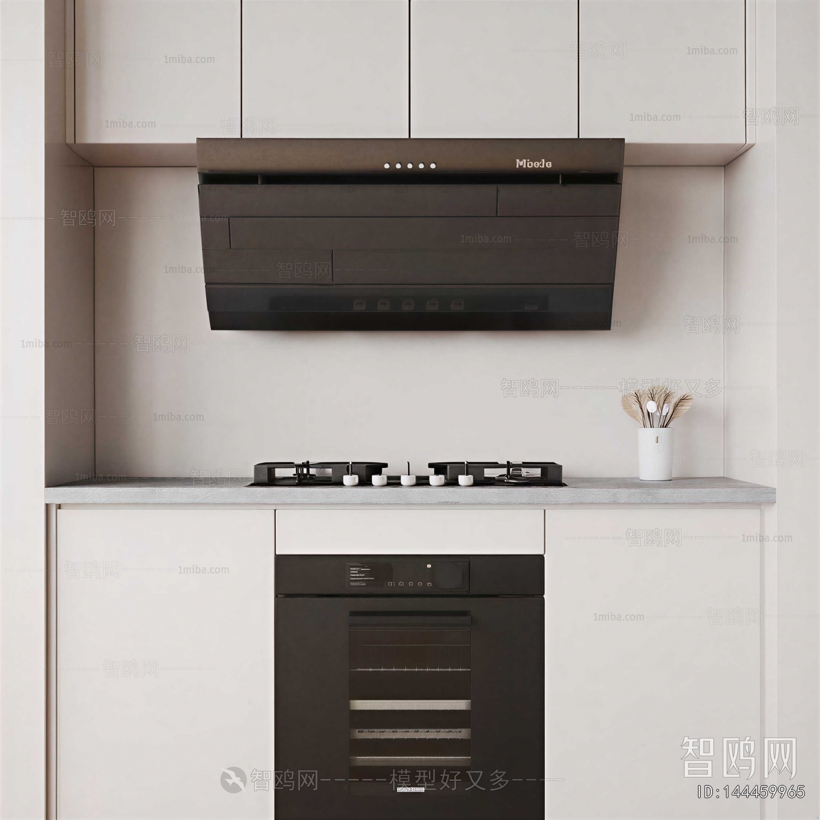 Modern Kitchen Electric Gas Range