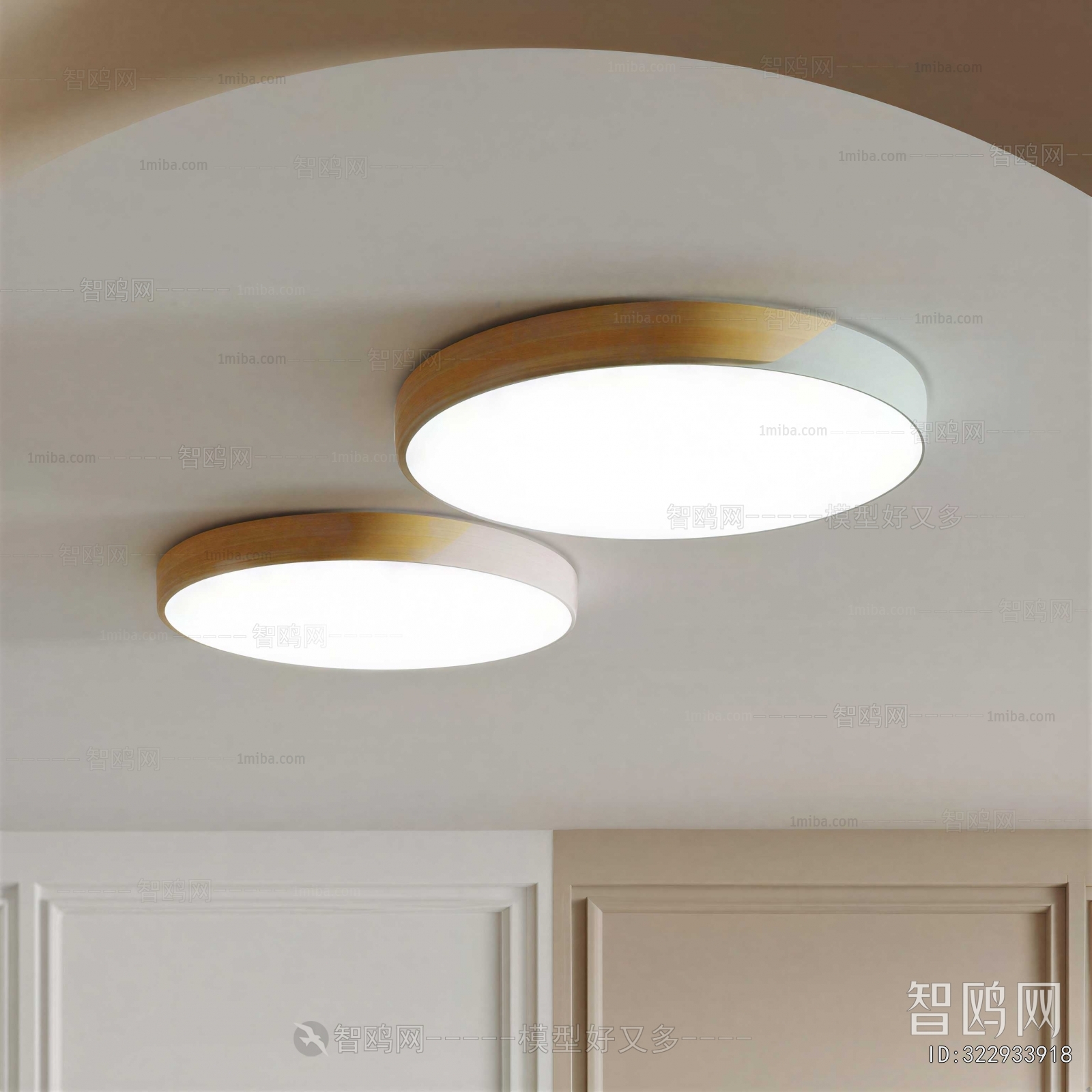 Modern Ceiling Ceiling Lamp