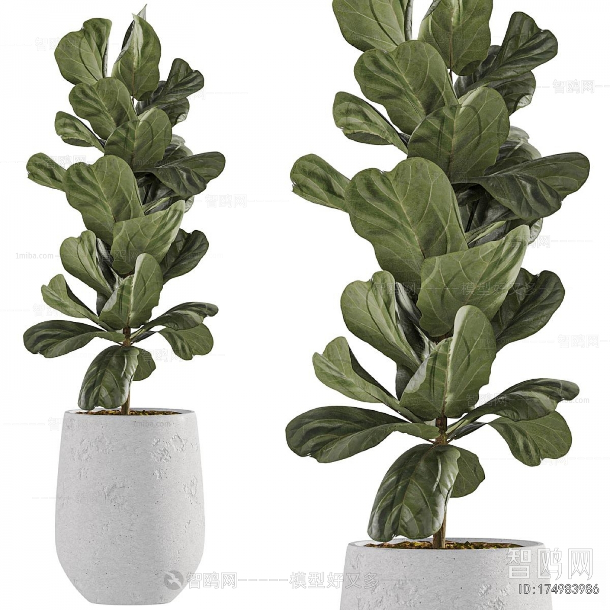 Modern Ground Green Plant Potted Plants
