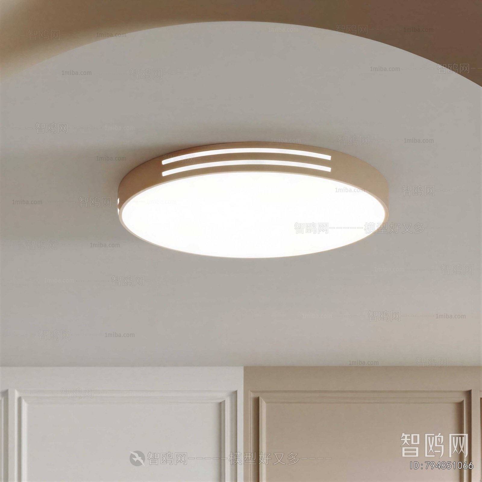 Modern Ceiling Ceiling Lamp