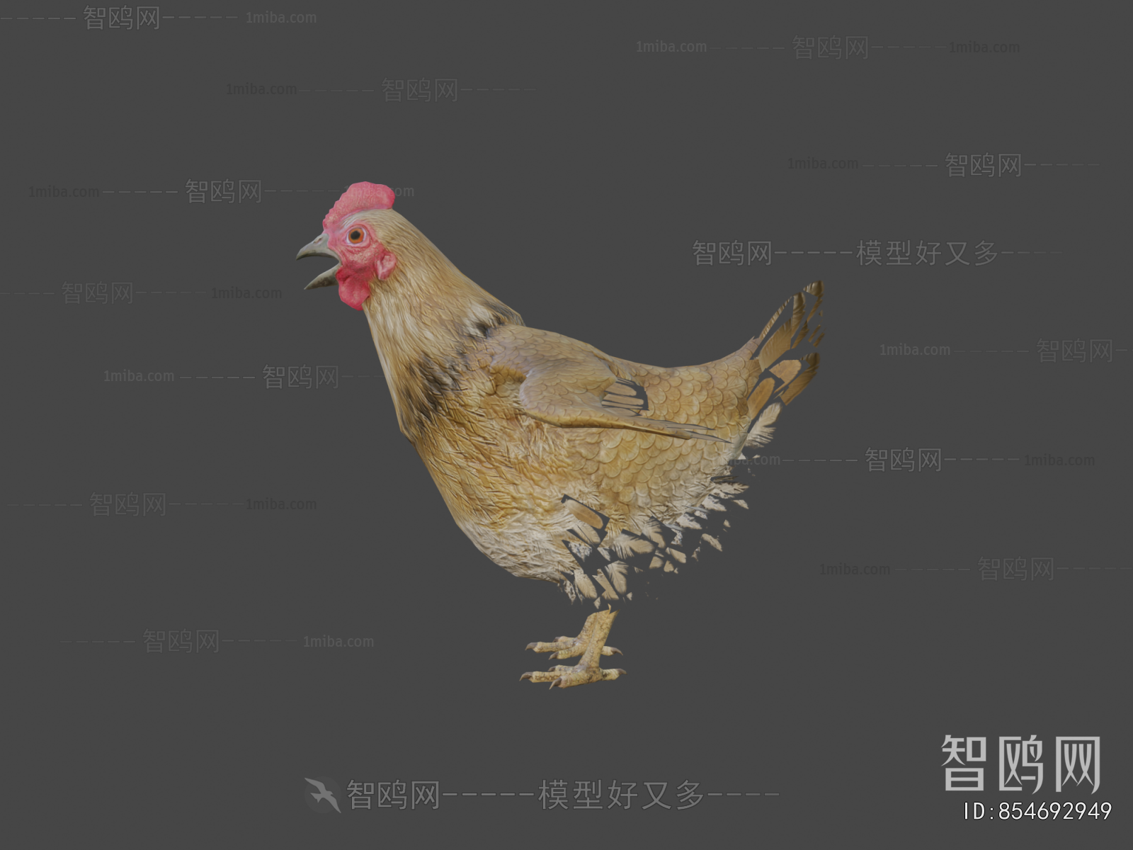 Modern Poultry Animal