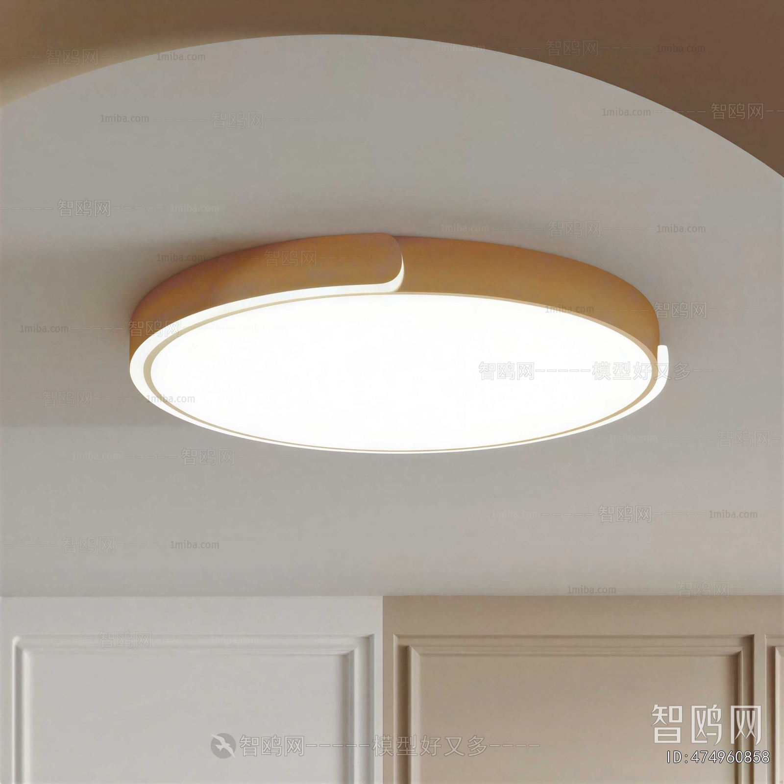 Modern Ceiling Ceiling Lamp