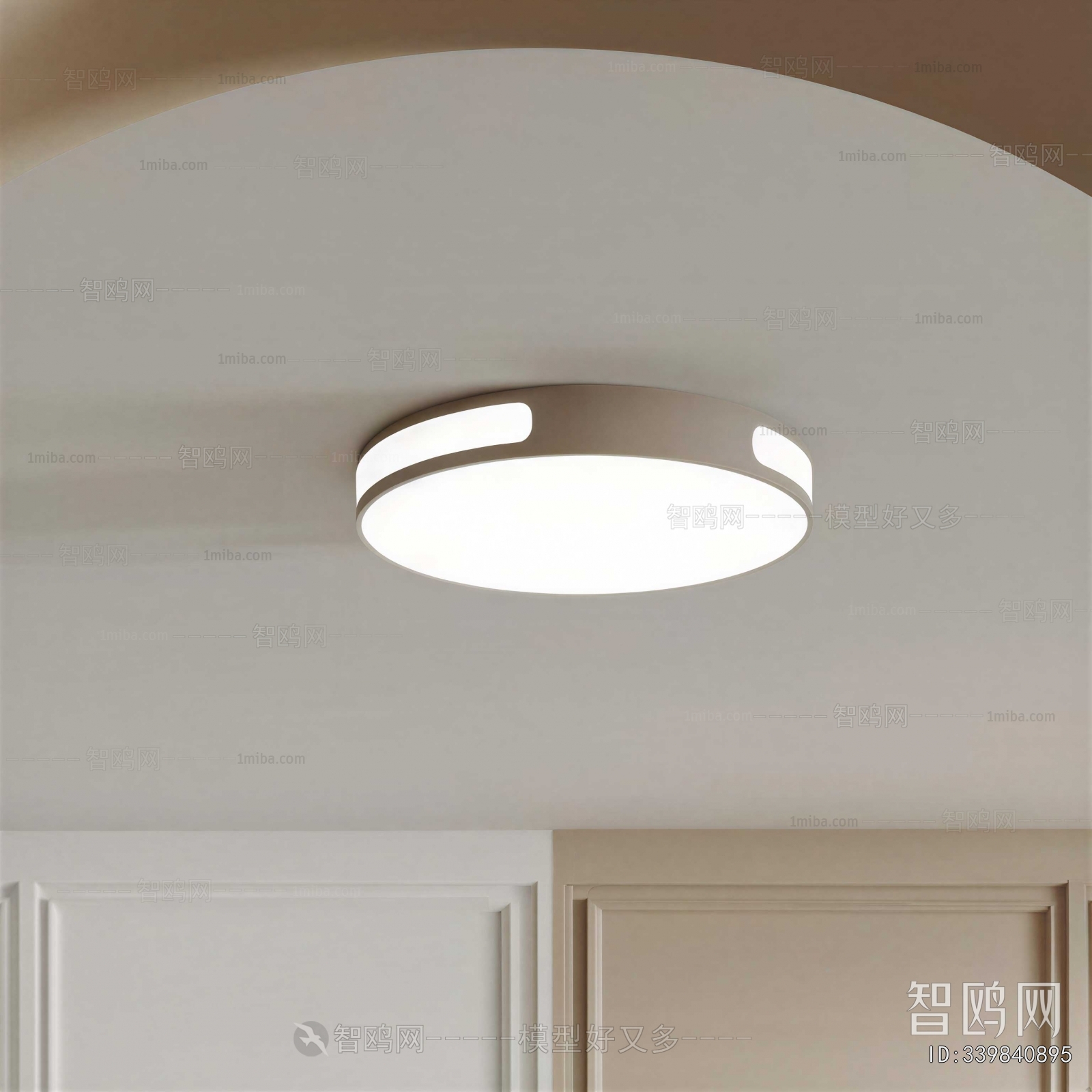 Modern Ceiling Ceiling Lamp