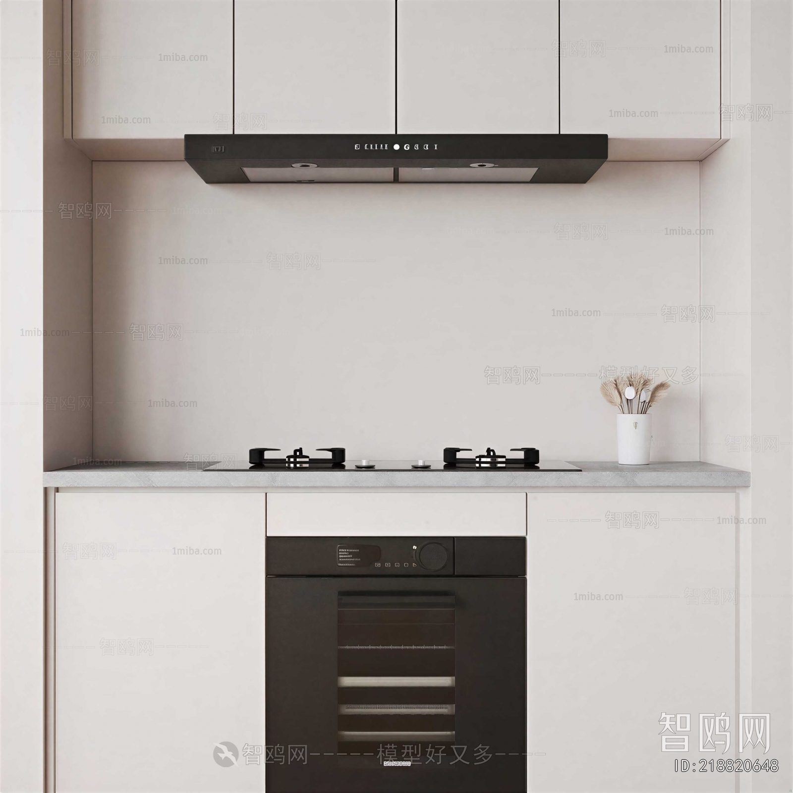 Modern Kitchen Electric Gas Range