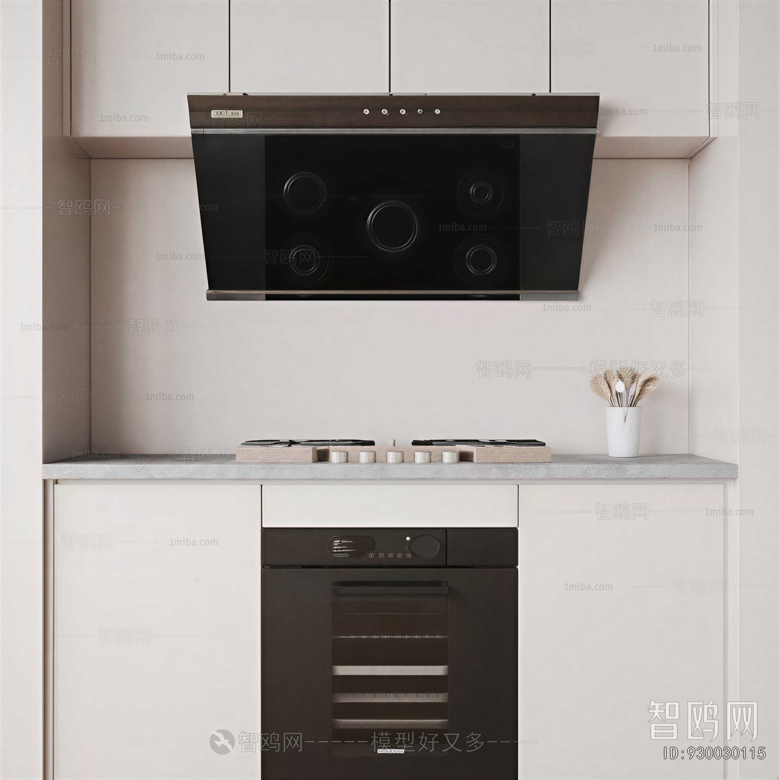 Modern Kitchen Electric Gas Range