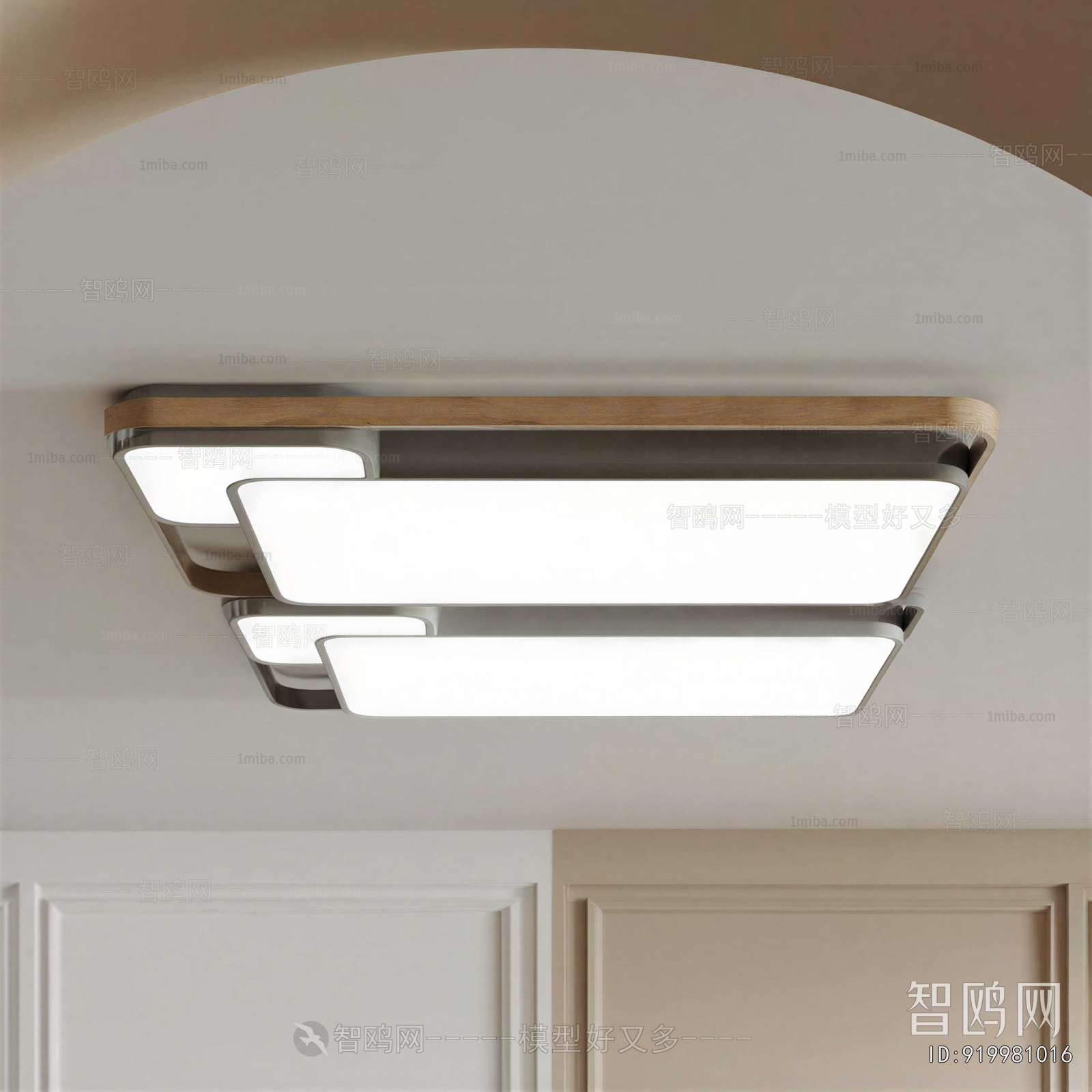 Modern Ceiling Ceiling Lamp