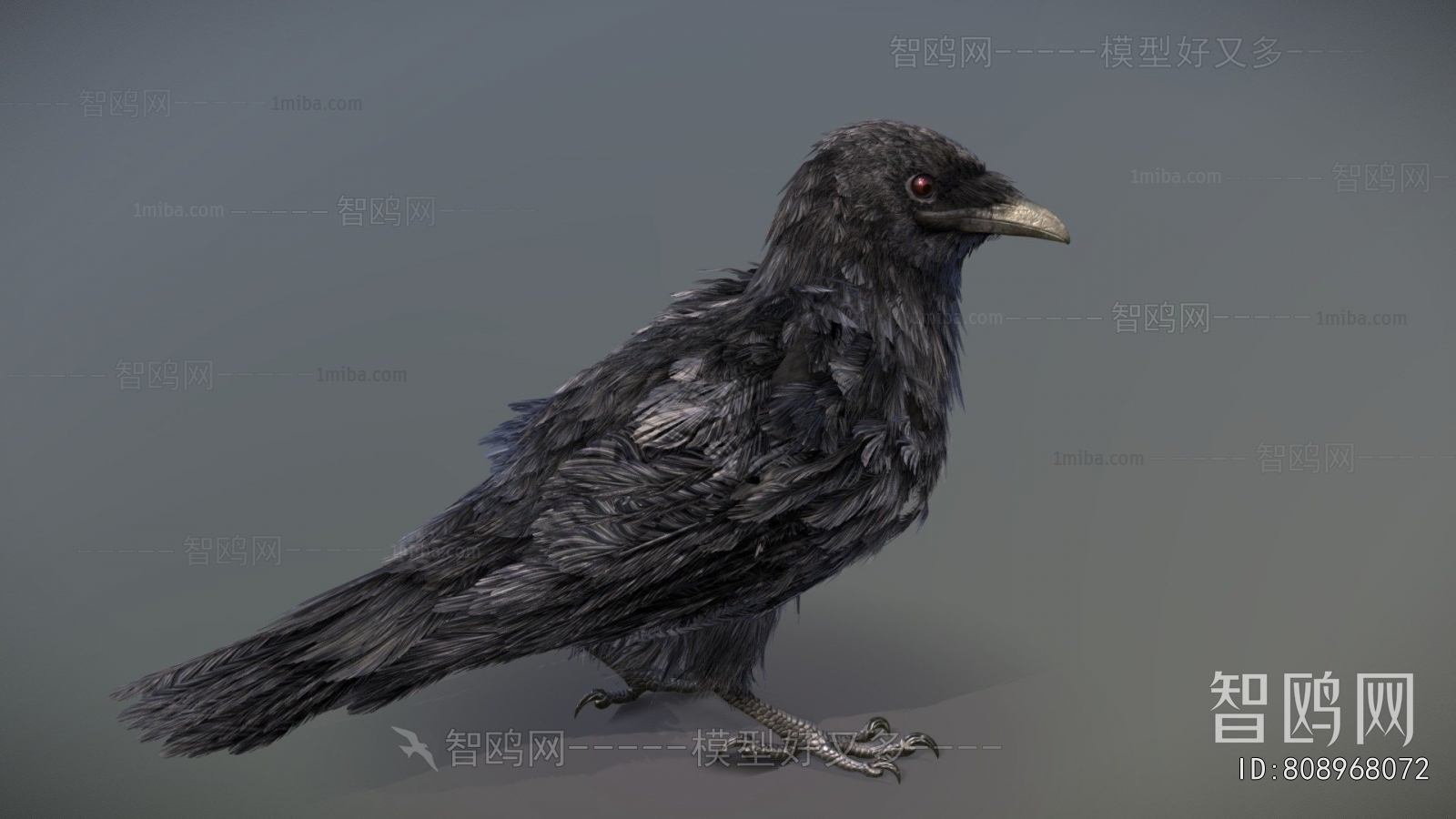 Modern Flying Animals