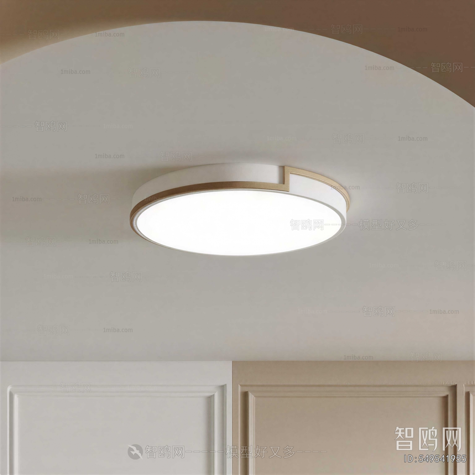 Modern Ceiling Ceiling Lamp