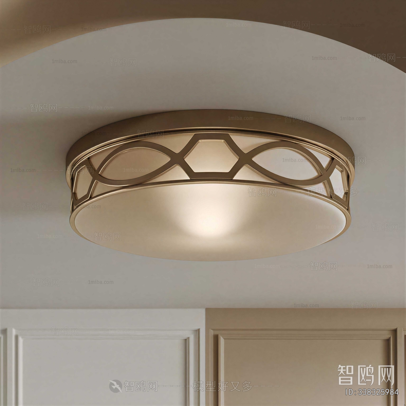 Modern Ceiling Ceiling Lamp