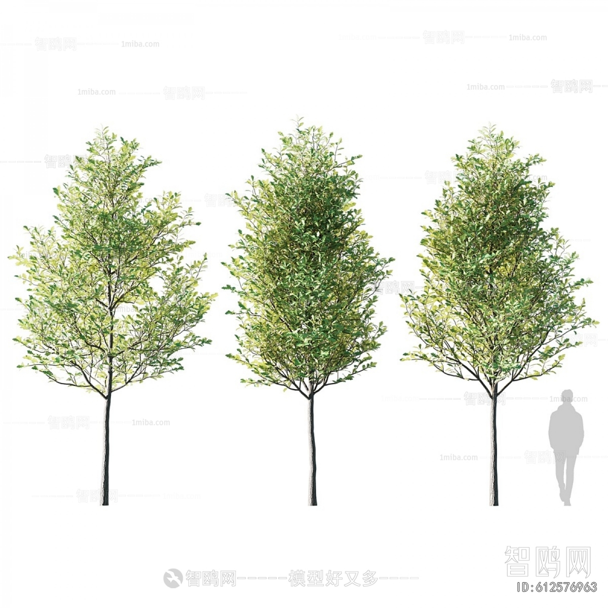 Modern Tree