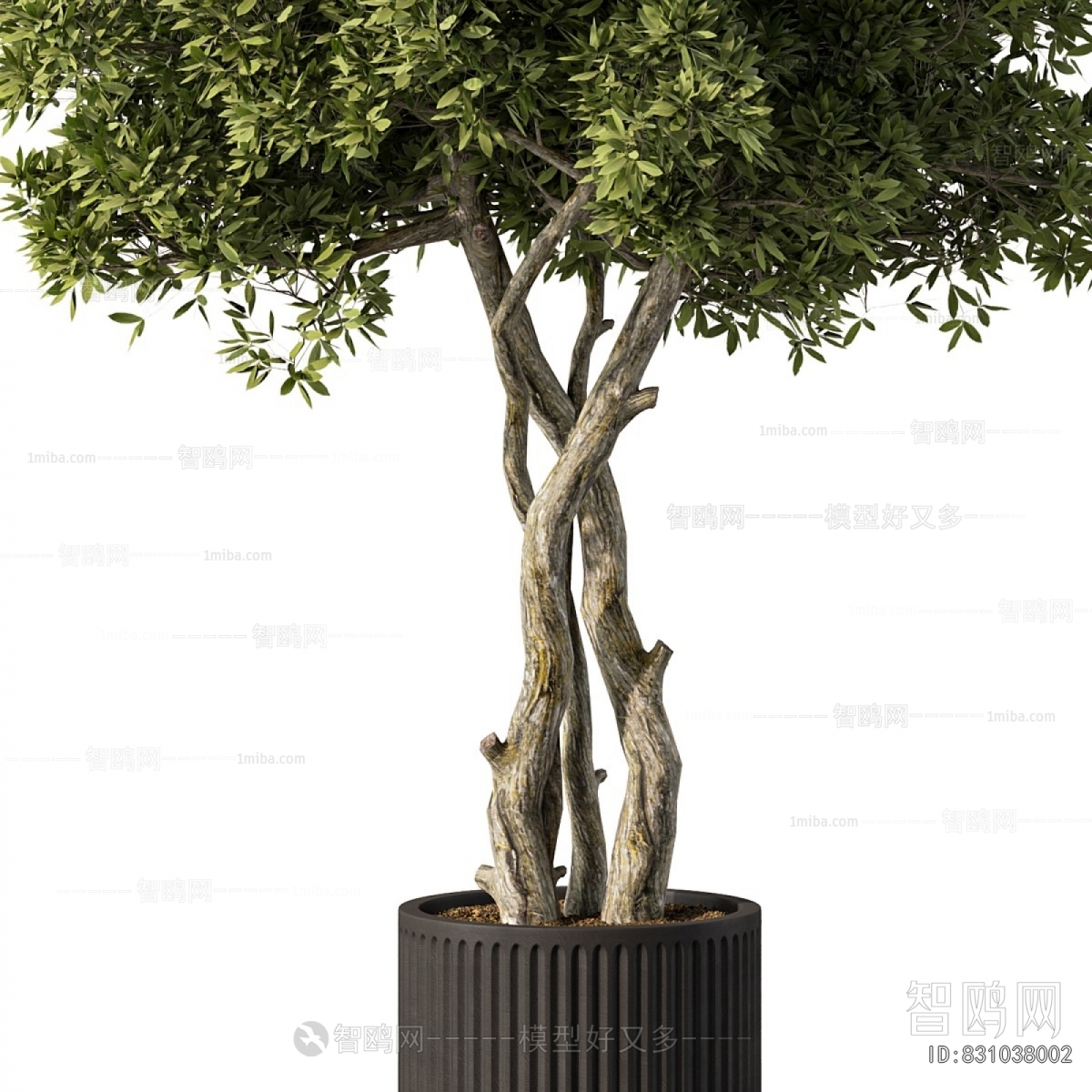 Modern Ground Green Plant Potted Plants