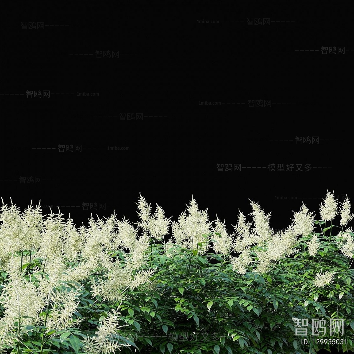 Modern Flowers And Grass