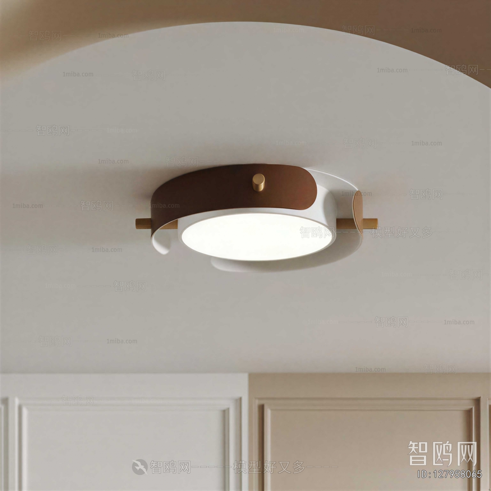 Modern Ceiling Ceiling Lamp