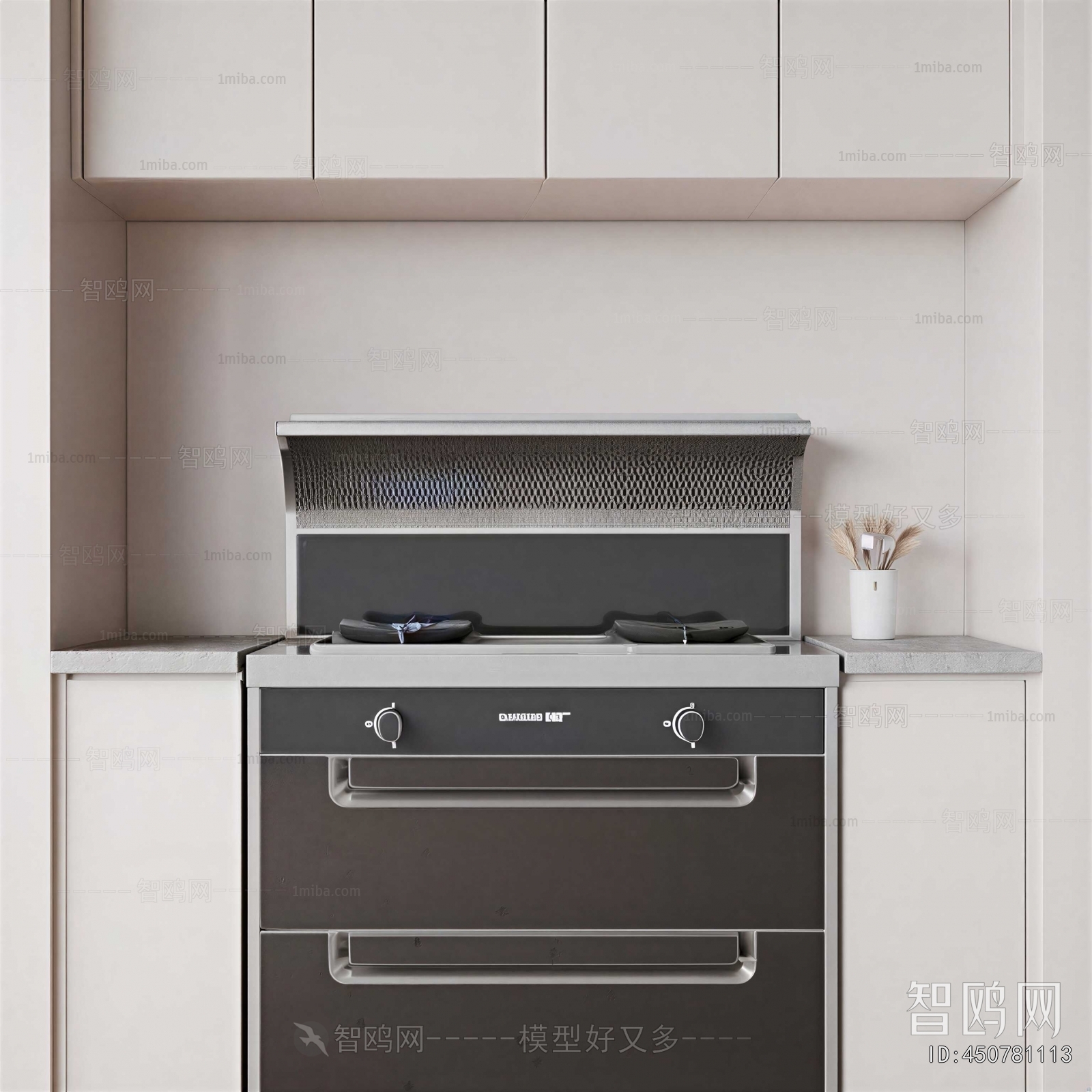 Modern Kitchen Electric Gas Range