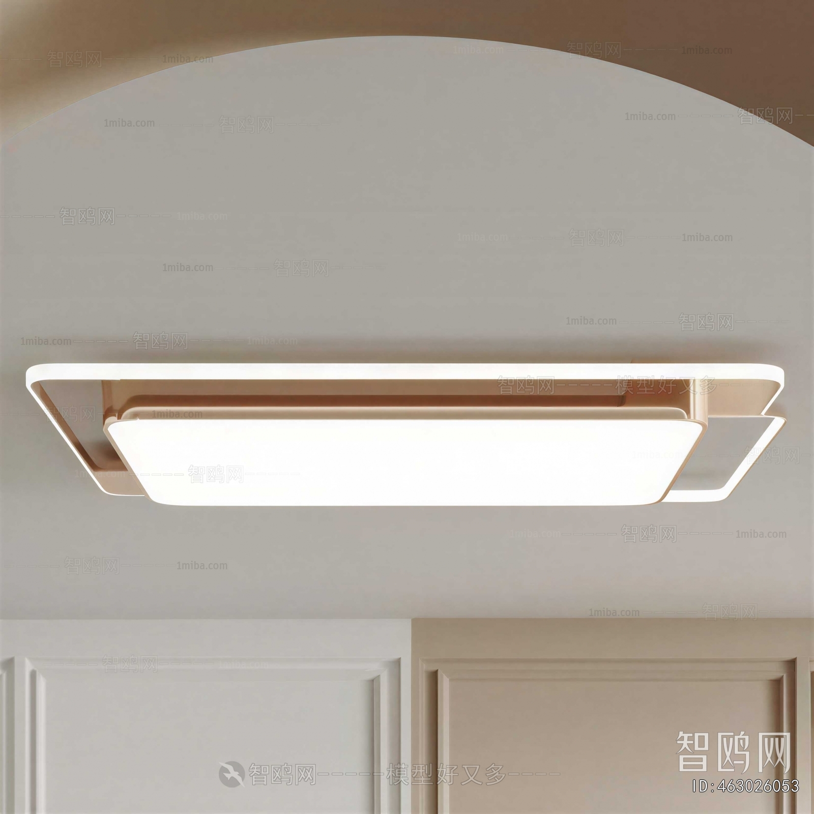Modern Ceiling Ceiling Lamp