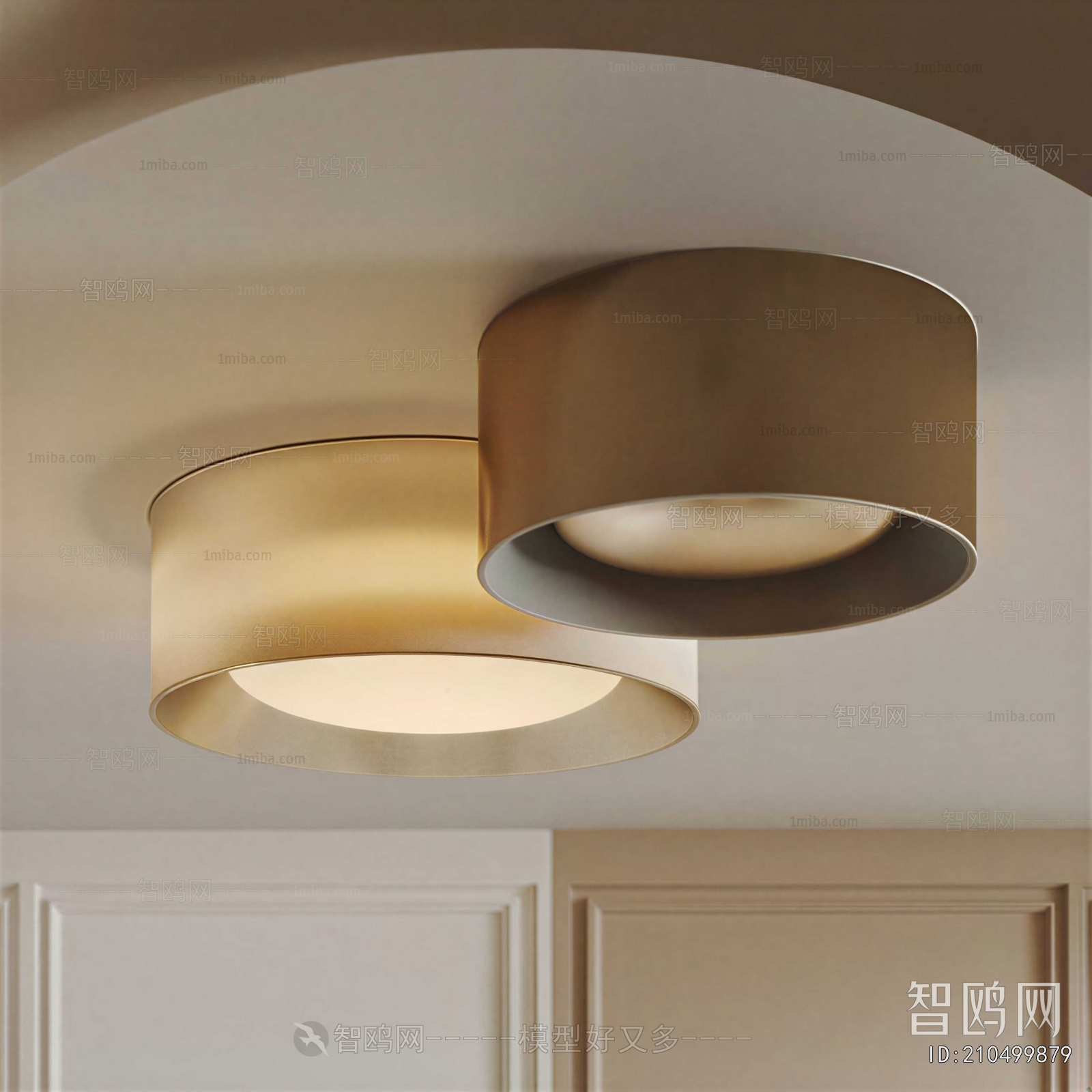 Modern Ceiling Ceiling Lamp