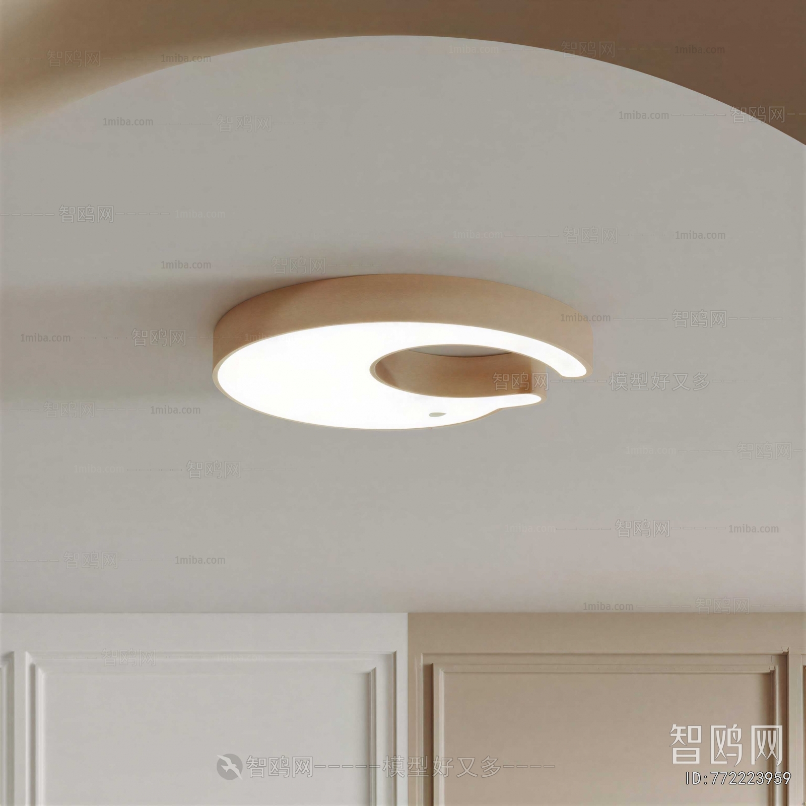 Modern Ceiling Ceiling Lamp